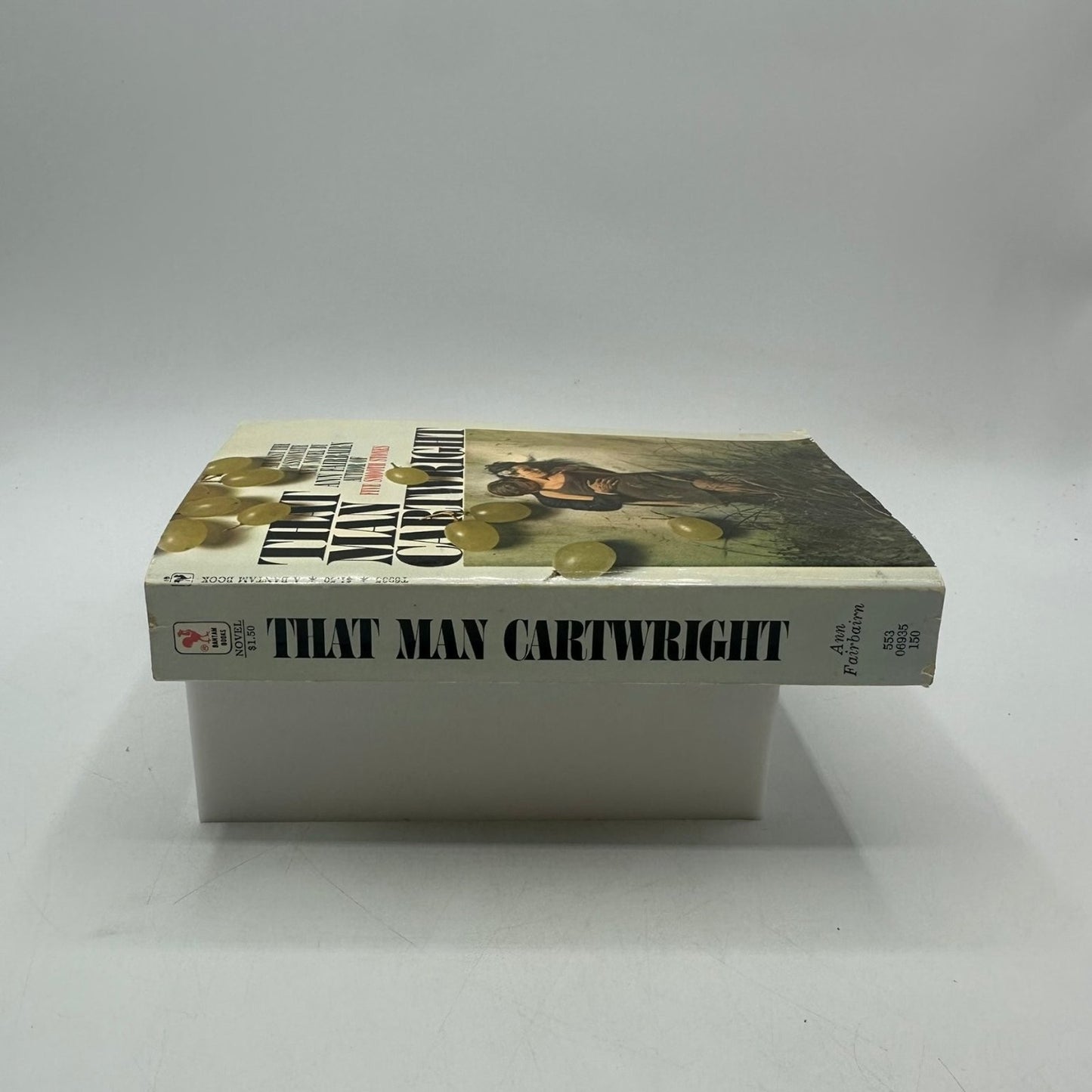 That Man Cartwright Ann Fairbairn Novel Social Justice Faith Hope Compassion