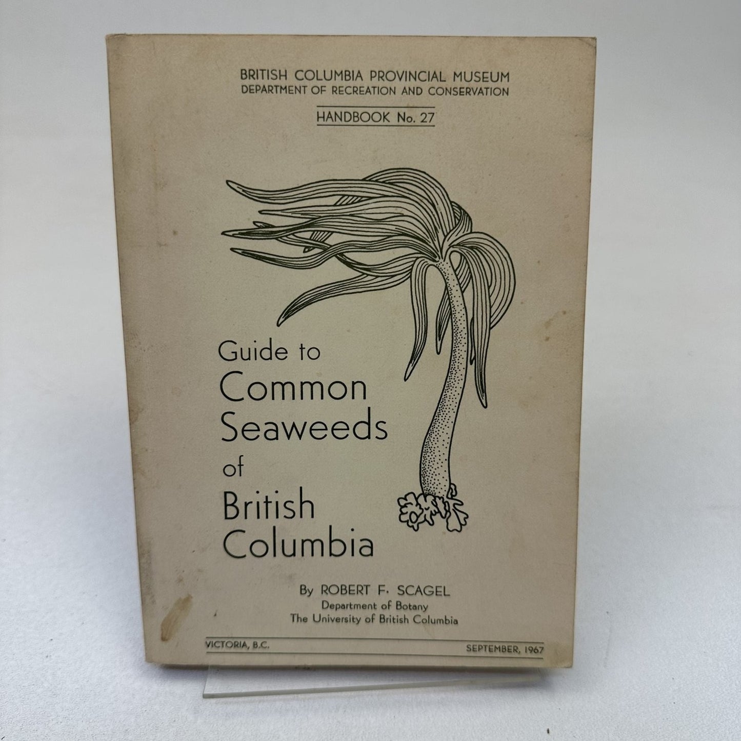 Guide to Common Seaweeds of British Columbia Scagel 1967 Botany Handbook
