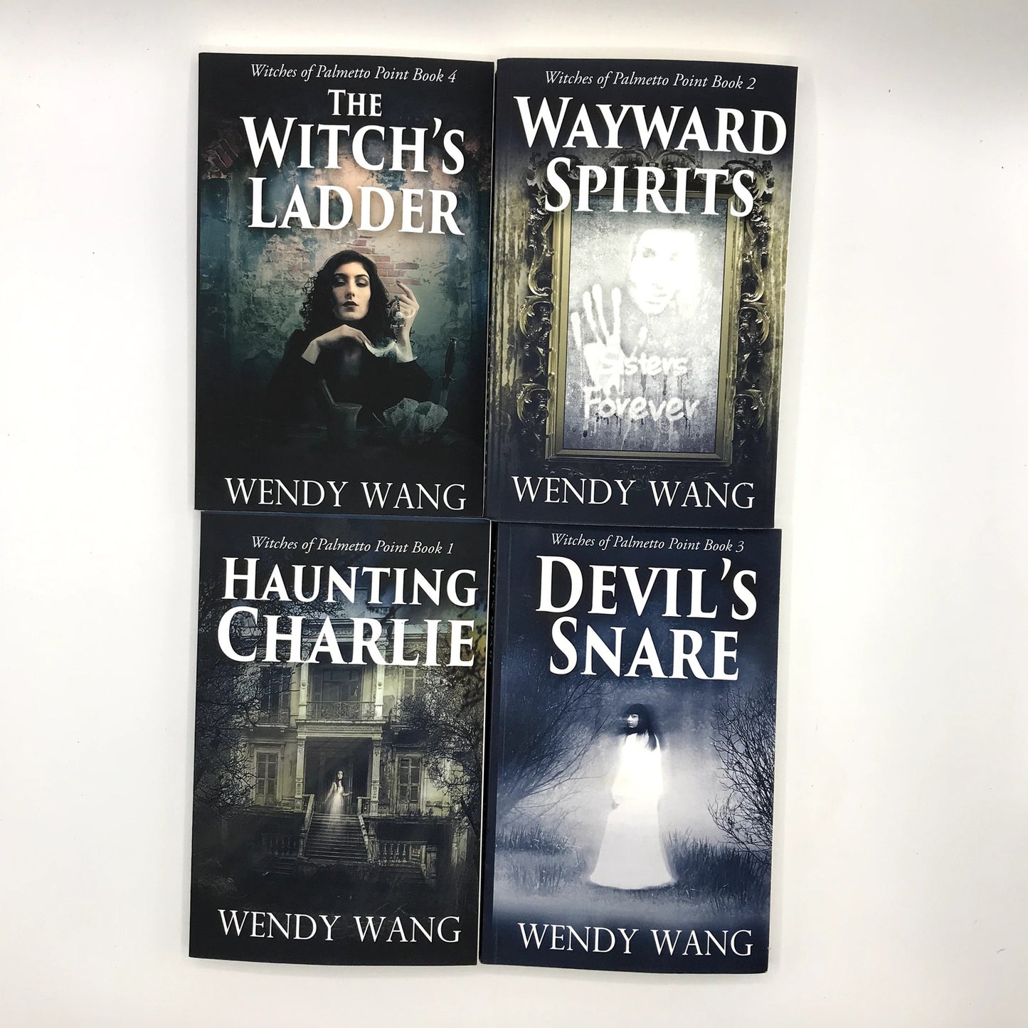 Witches of Palmetto Point Books 1-4 Paperback Fantasy Series by Wendy Wang