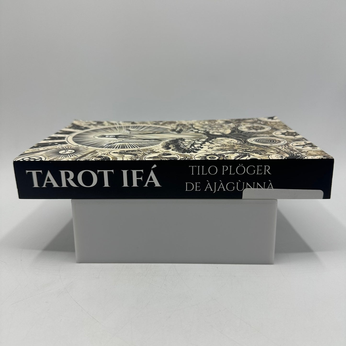 Tarot Ifa Tilo Ploger De Ajagunna Divination New Age Religion and Spirituality