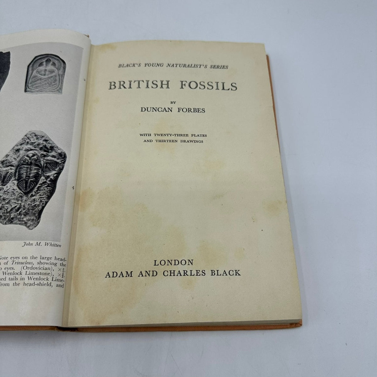 British Fossils Duncan Forbes 1951 First Edition Natural History A. & C. Black