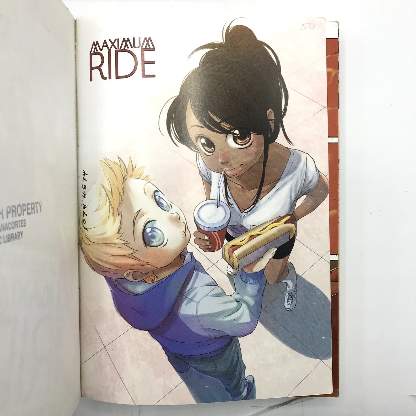 Lot of 3 Maximum Ride: The Manga Books Vols 1-3 James Patterson & Narae Lee