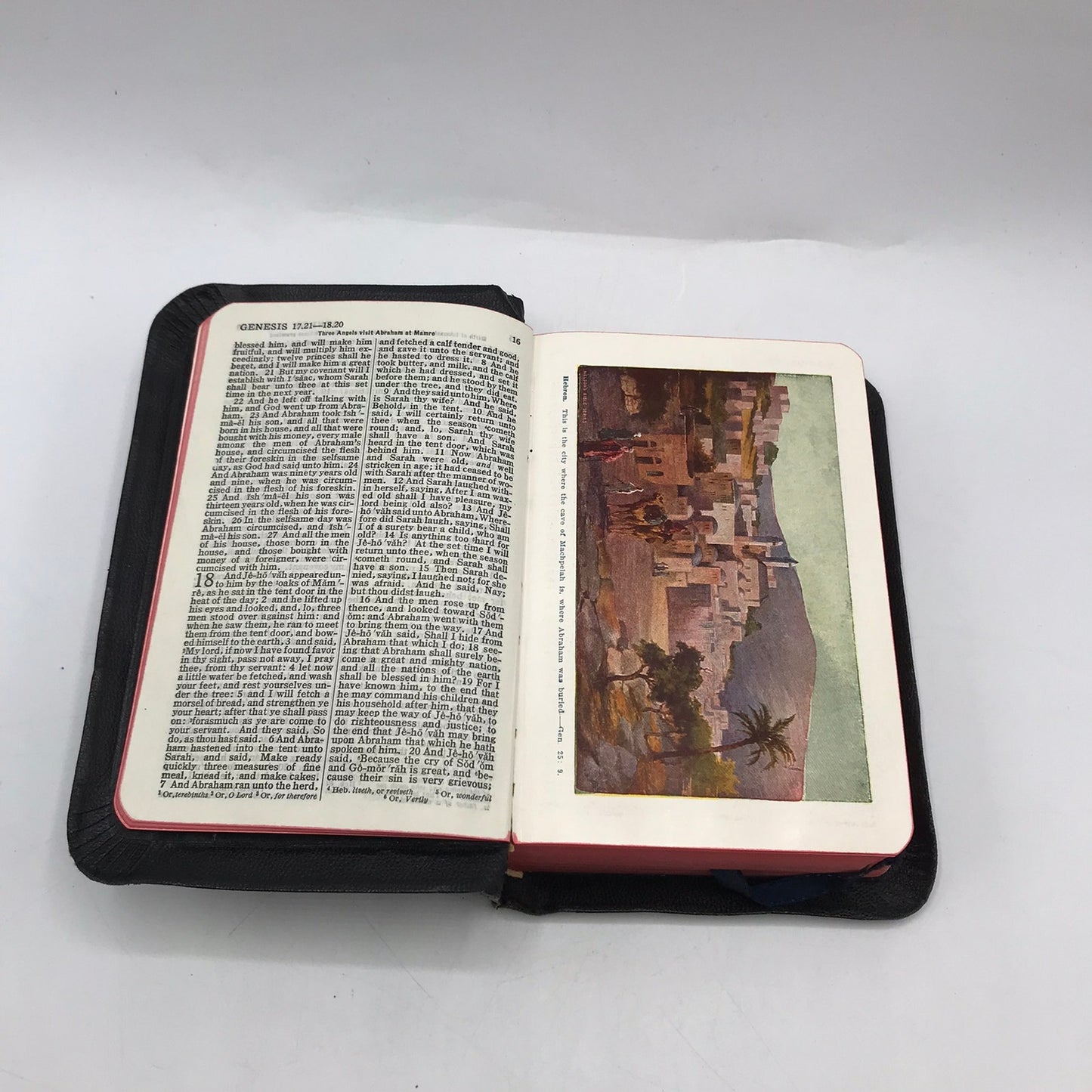 The Holy Bible Old and New Testaments Standard Edition Christian Theology 1929