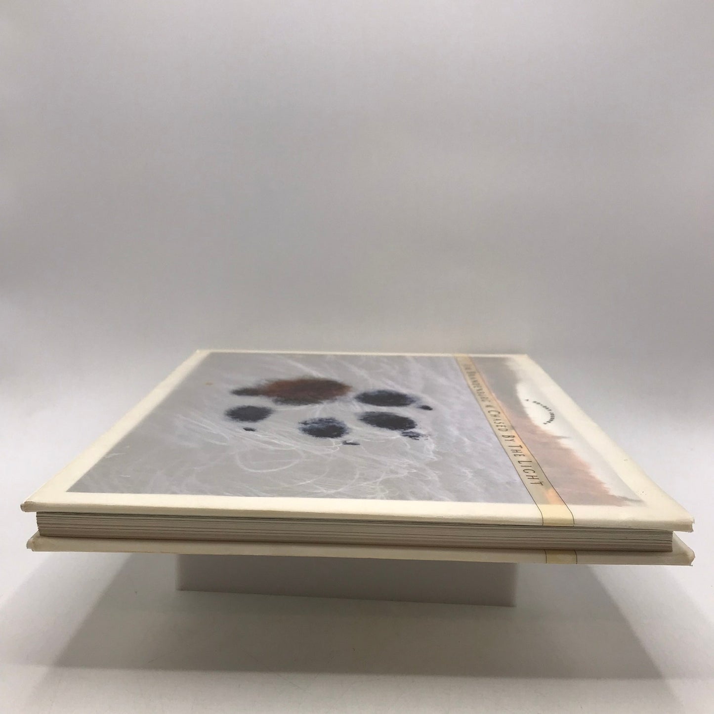 Chased by the Light A 90 Day Journey Jim Brandenburg with Signed Photo of Loon