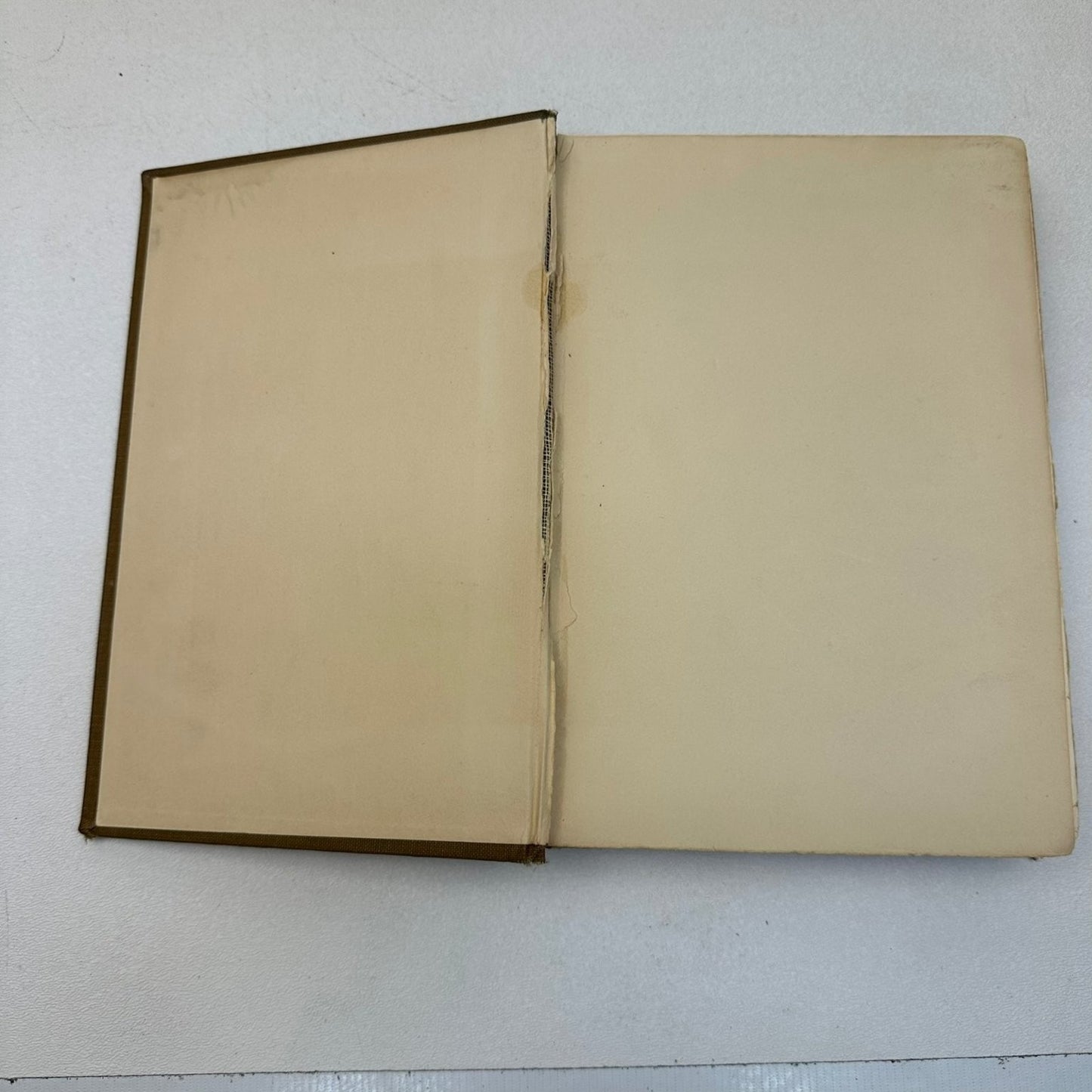 Bird Notes Afield Charles Keeler 1907 2nd Ed Revised Illustrated Ornithology