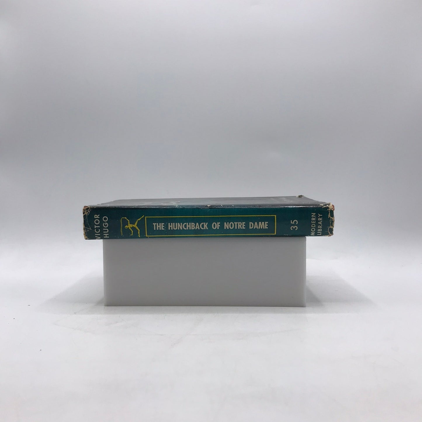 The Hunchback of Notre Dame Victor Hugo Classic Historical Romance Gothic Novel