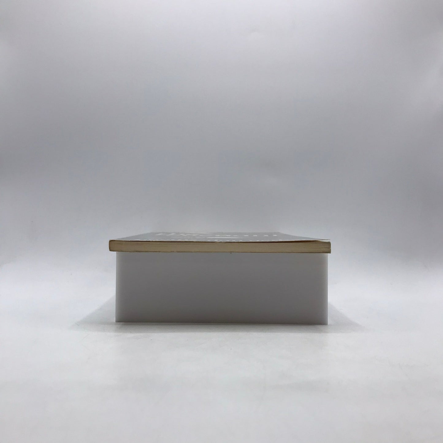 The Revenant Dan Gerber SIGNED Spiritual Mortality Solitude Contemporary Poetry