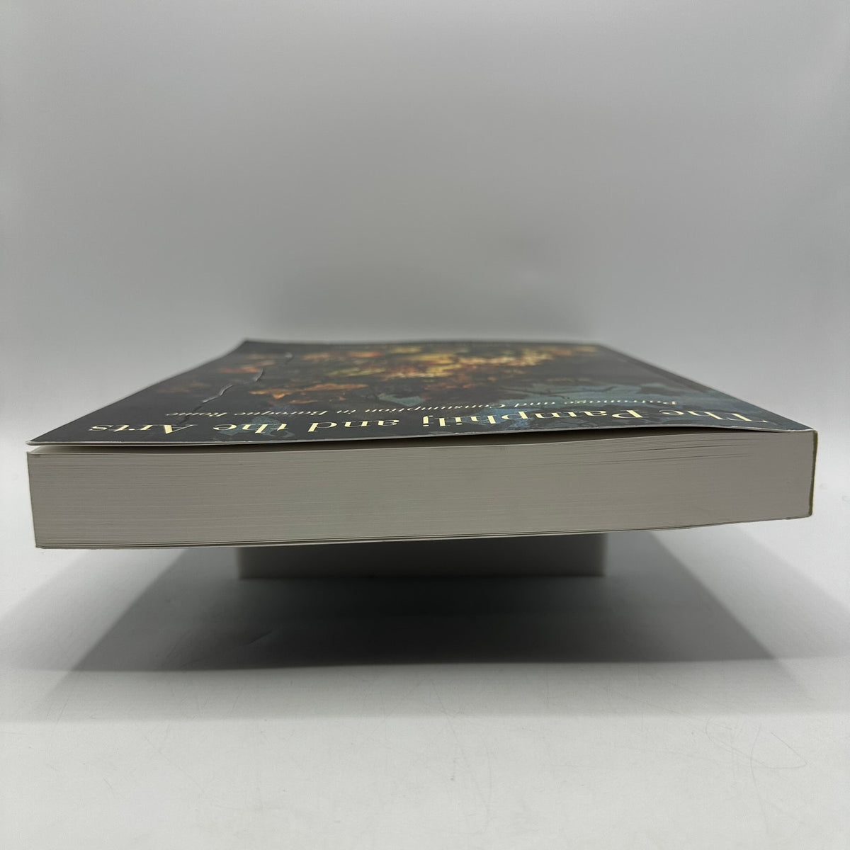 The Pamphilj and the Arts Stephanie C Leone Baroque Rococo History Criticism