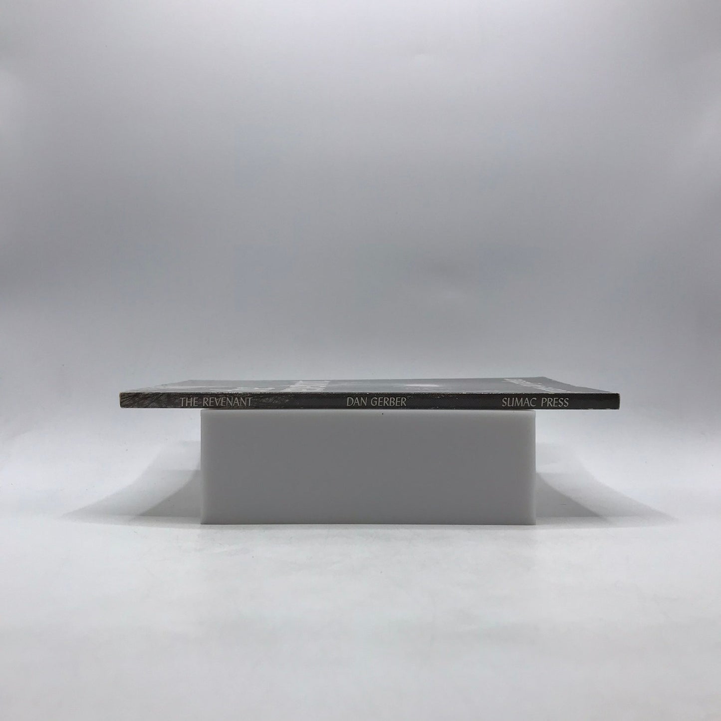 The Revenant Dan Gerber SIGNED Spiritual Mortality Solitude Contemporary Poetry