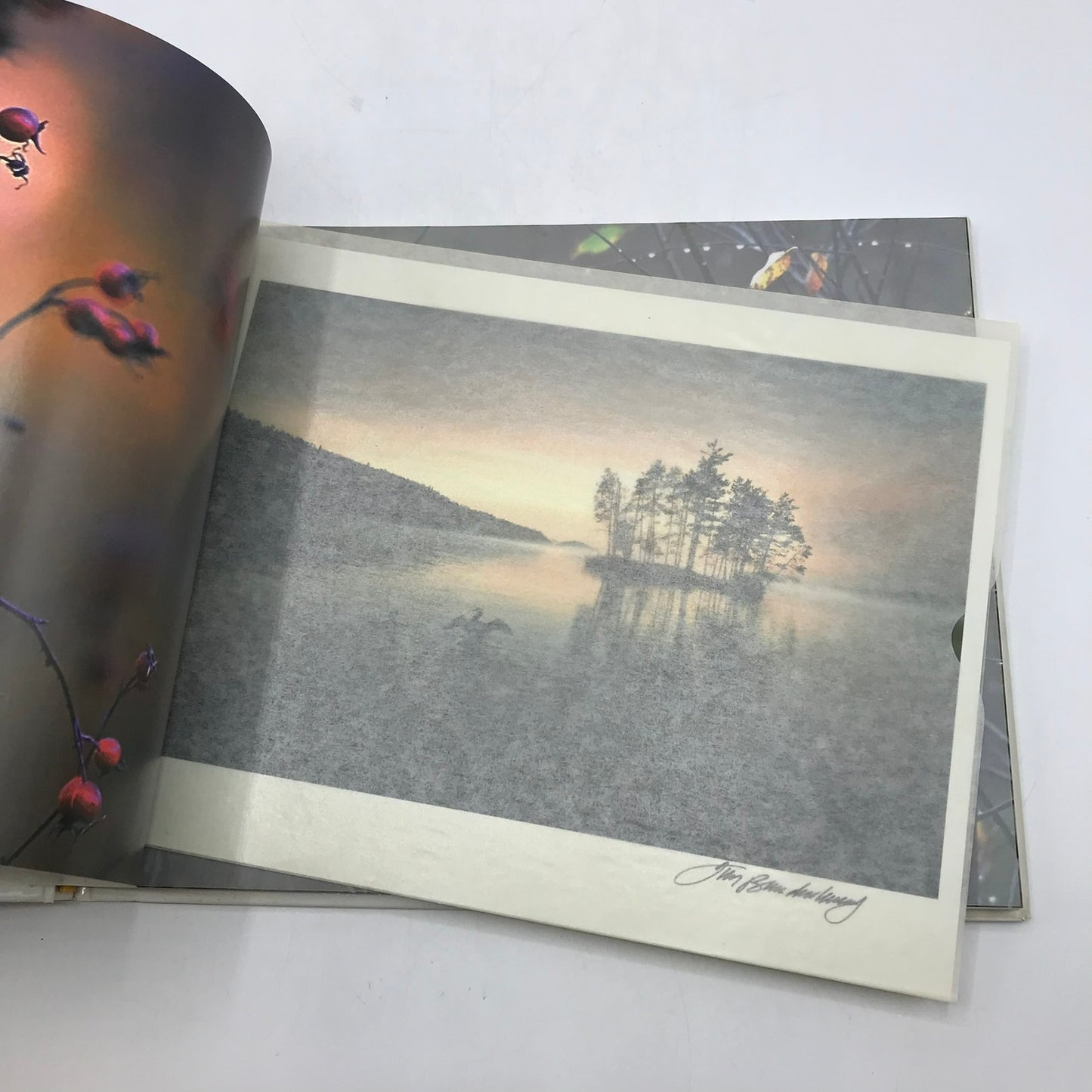 Chased by the Light A 90 Day Journey Jim Brandenburg with Signed Photo of Loon