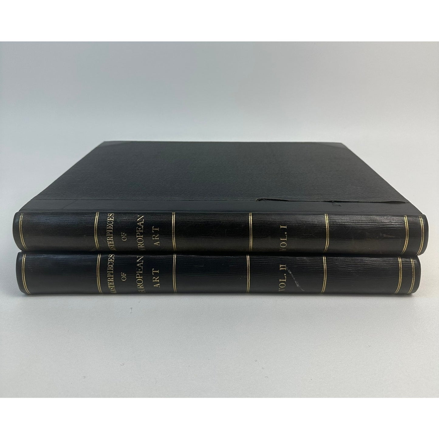 The Masterpieces of European Art Volumes 1 and 2 History Culture Painting