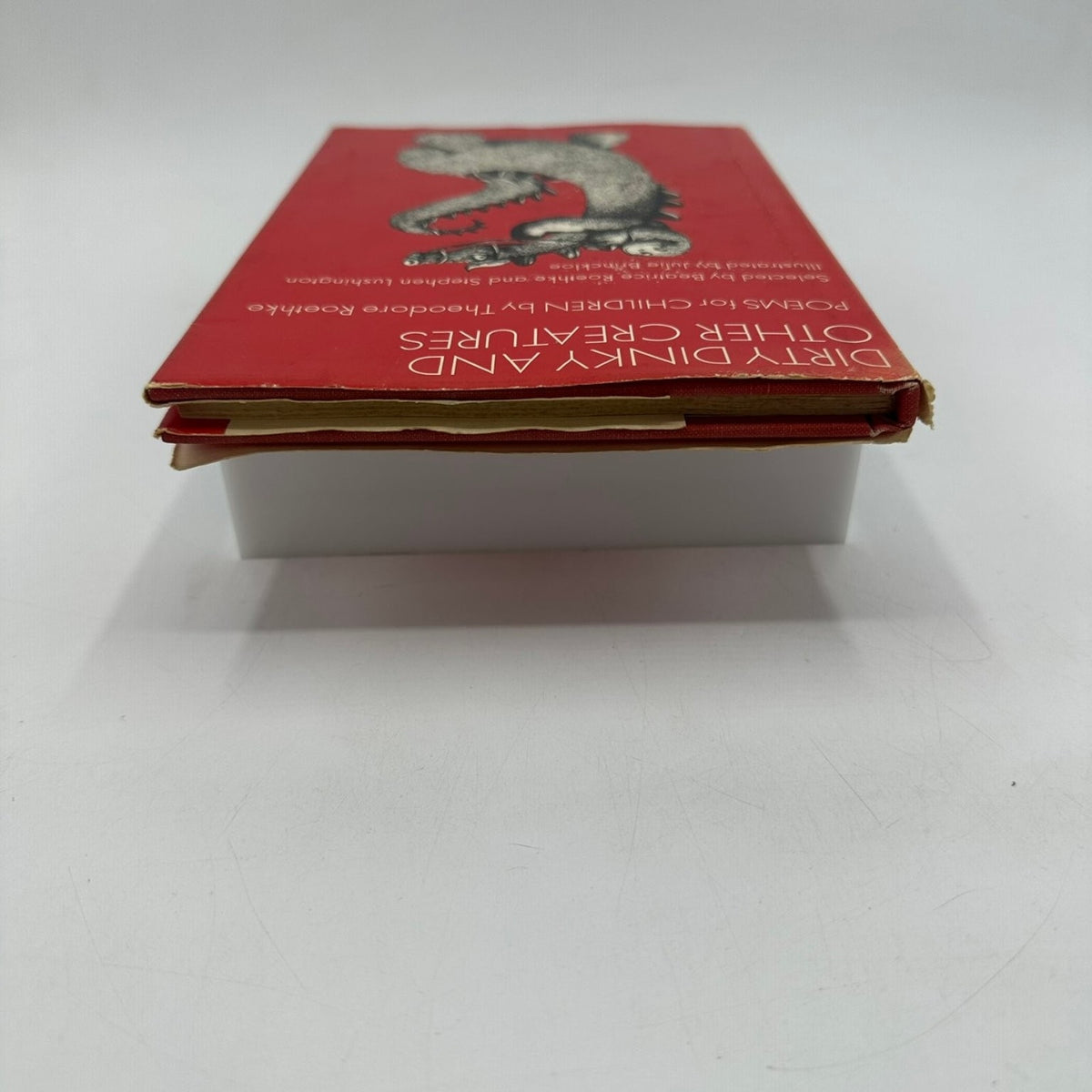 Dirty Dinky & Other Creatures Roethke 1973 1st Ed Illustrated Children's Poetry
