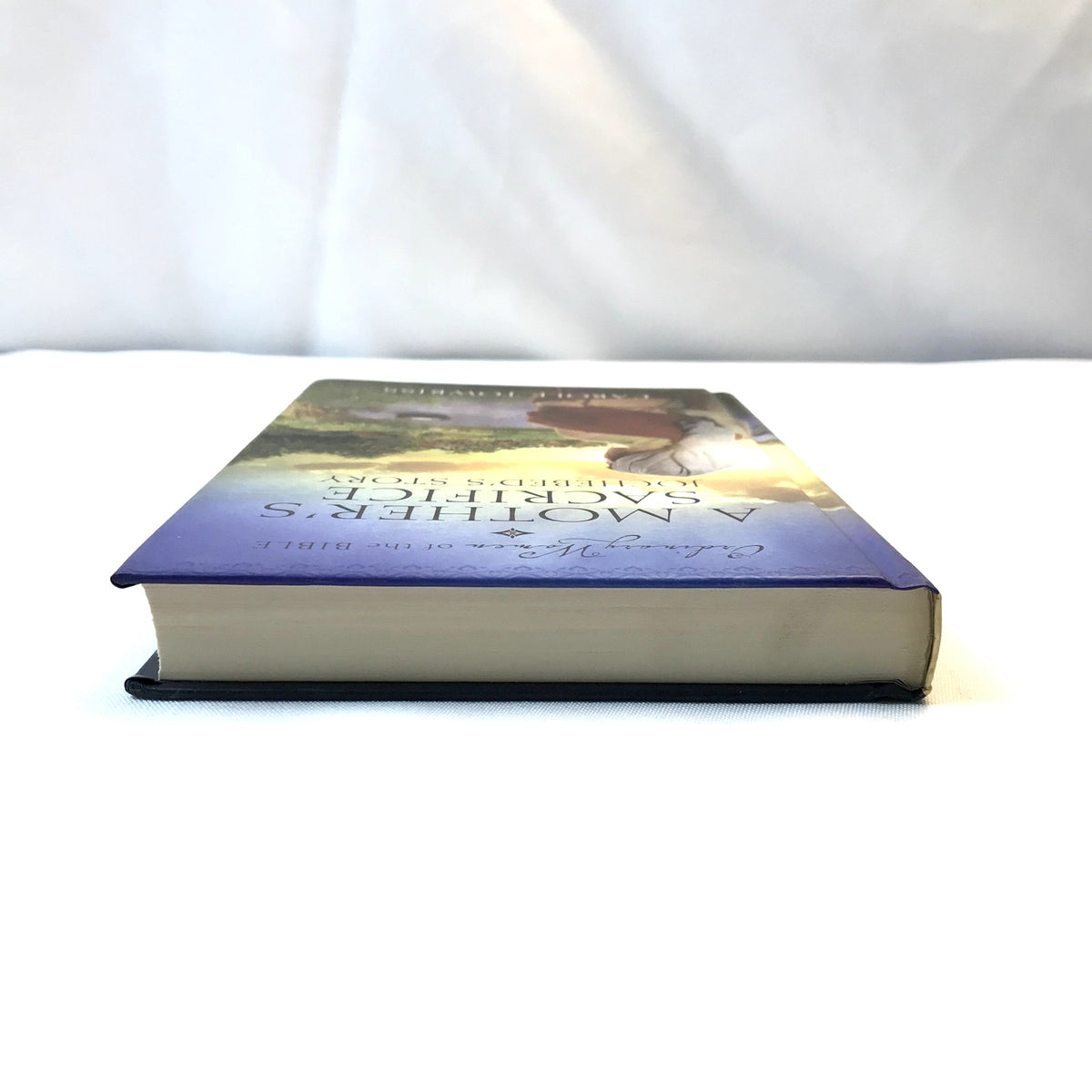 A Mother's Sacrifice Jochebed's Story Hardcover Book by Carole Towriss 2019