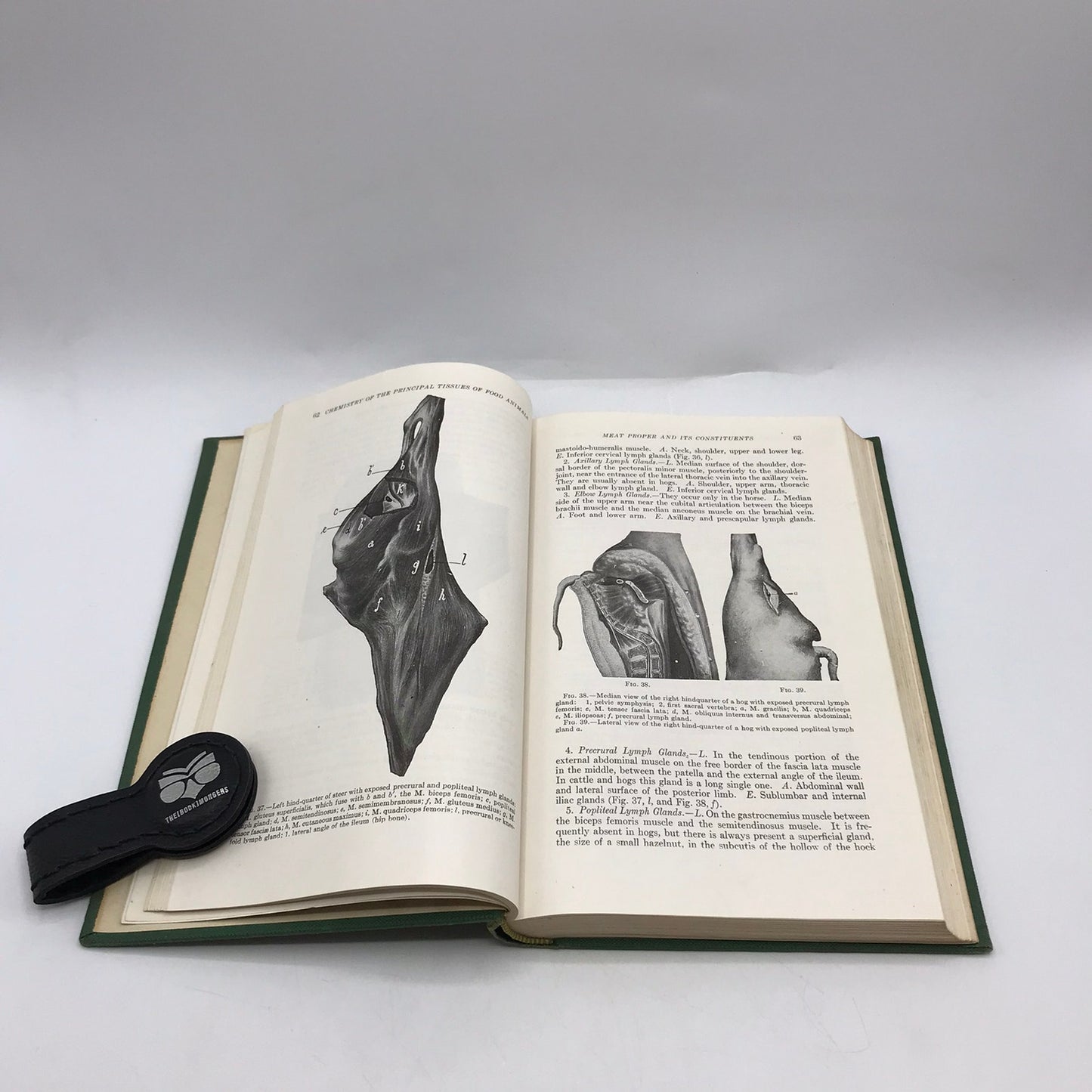 Text Book of Meat Hygiene Richard Heinrich Edelmann Inspection Reference Guide