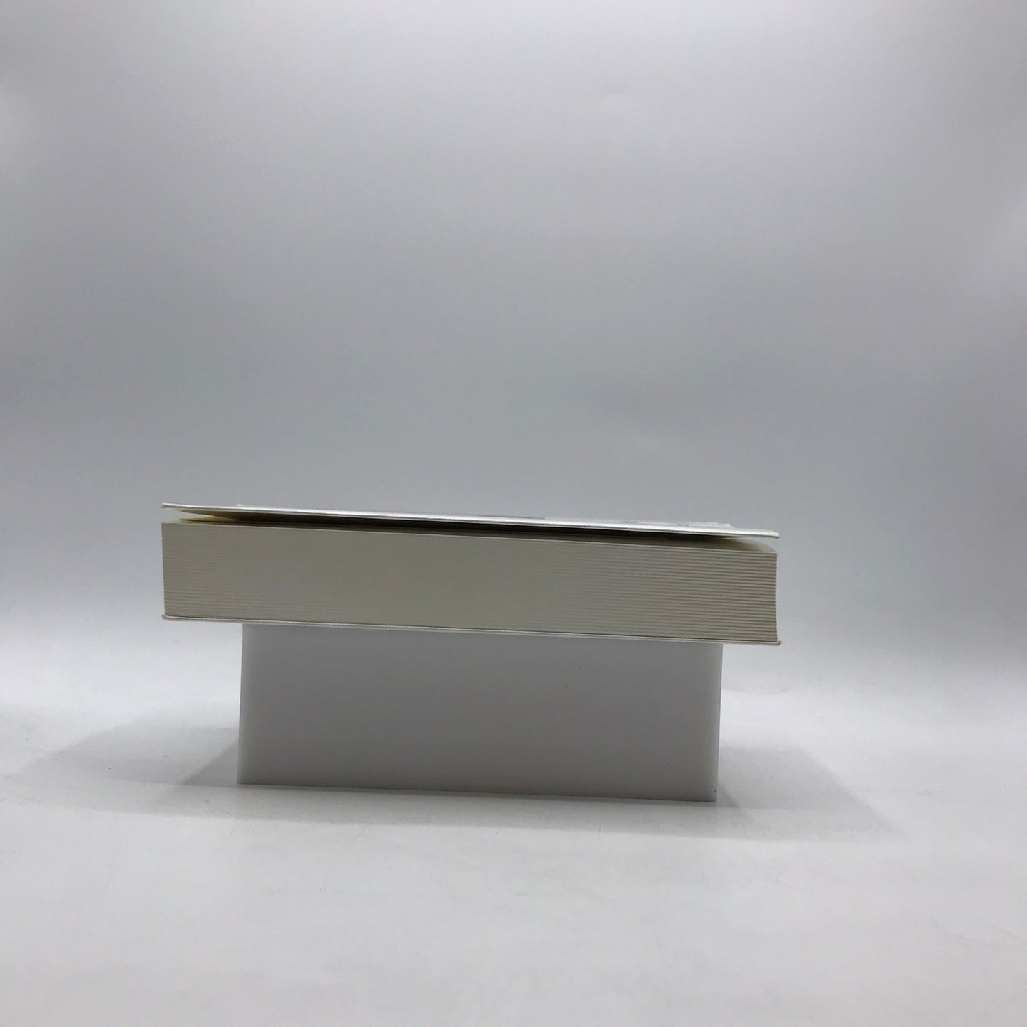 Les Porcelaines Françaises Tardy Lesur History Characteristics Decorations