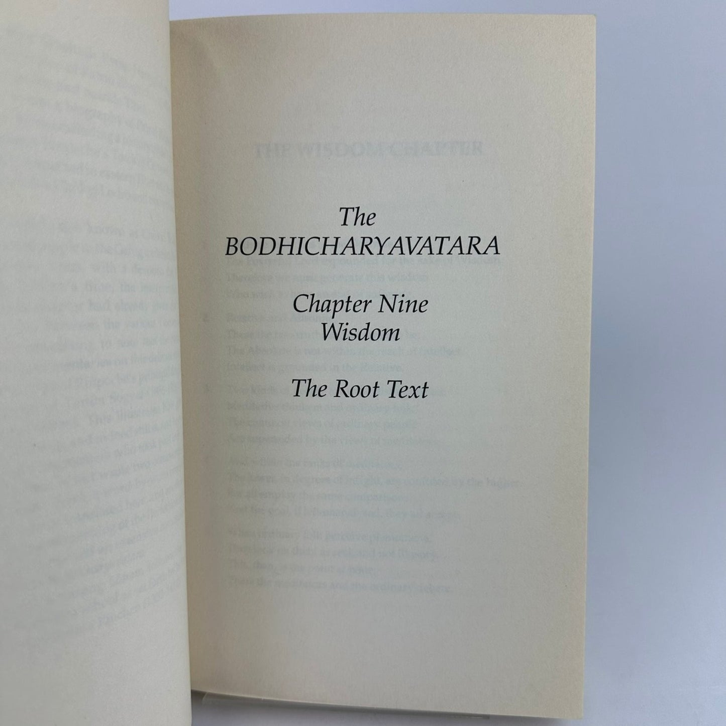 Wisdom Two Buddhist Commentaries Palden Sönam 1993 Padmakara Paperback