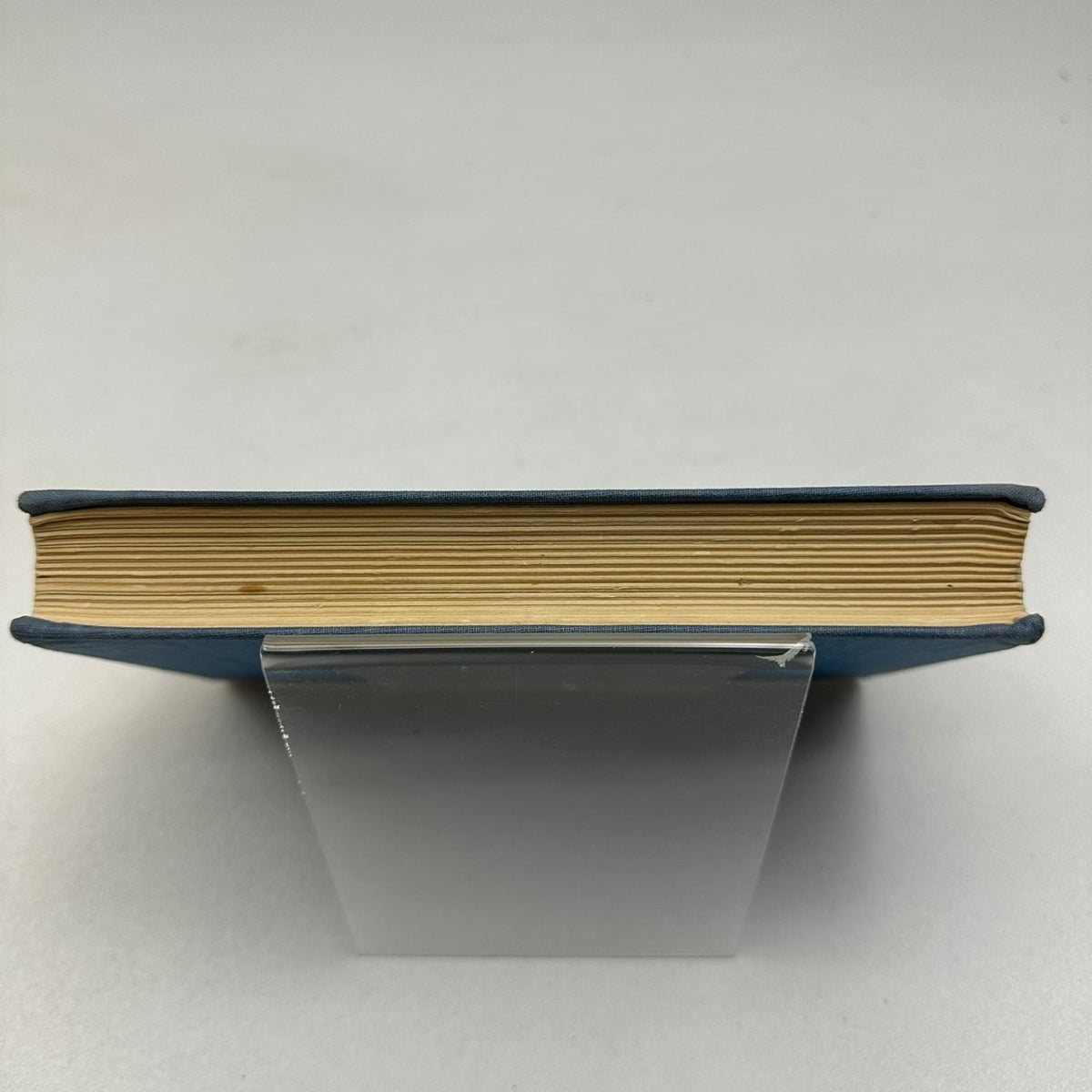 On Being A Bird Philip Wills 1955 First Edition SIGNED Memoir Parrish