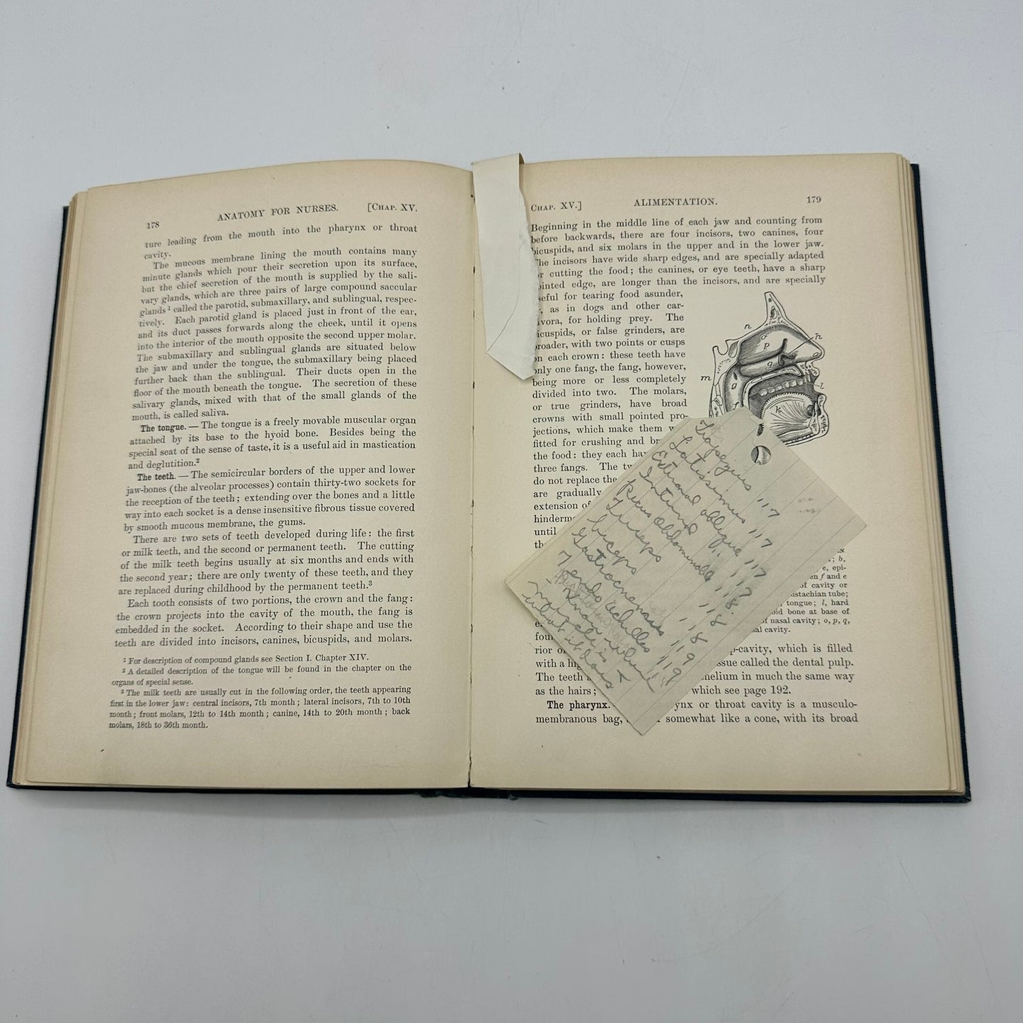 Textbook of Anatomy and Physiology for Nurses Diana Clifford Kimber Medical 1902