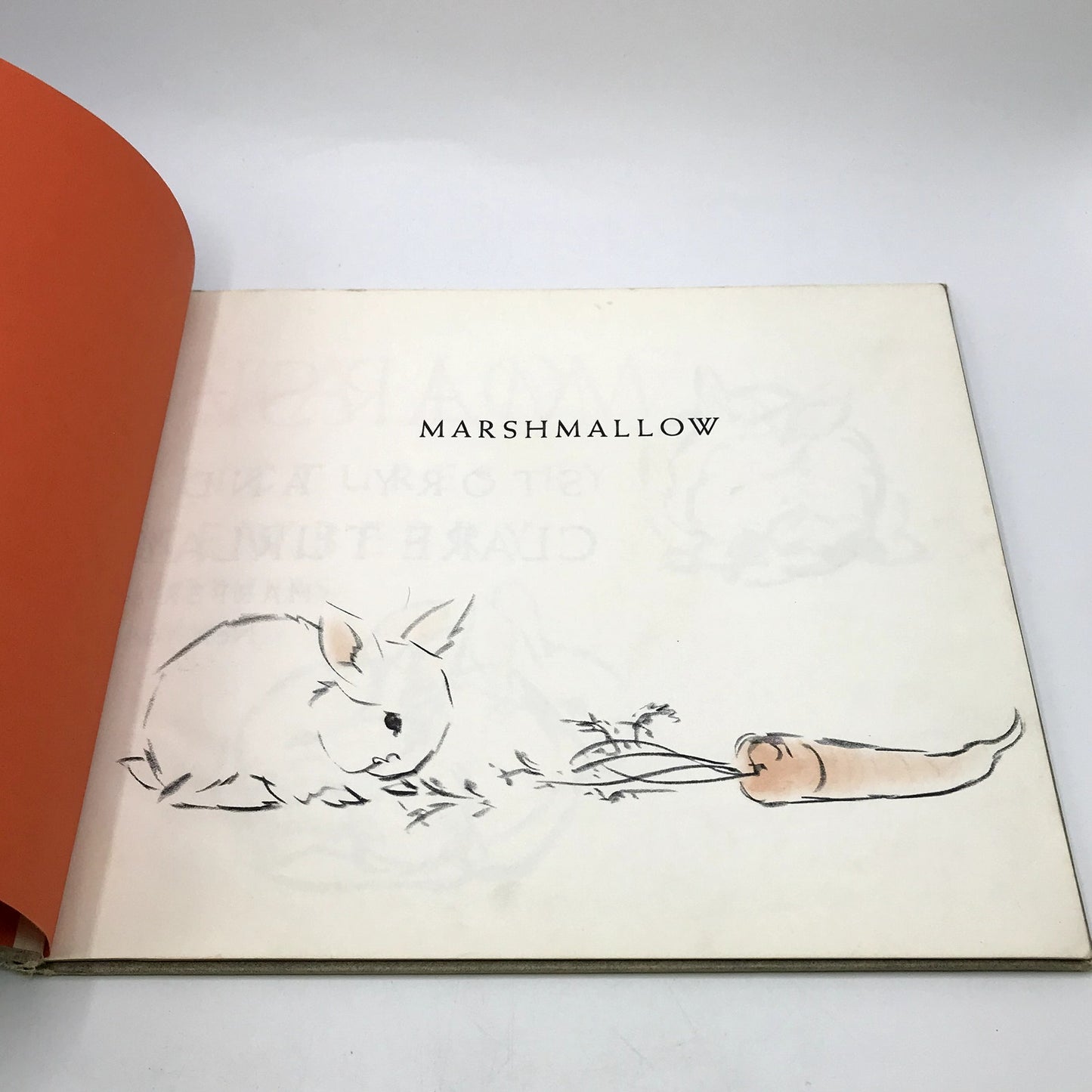 Marshmallow Rare Illustrated Hardcover by Clare Turlay Newberry 1942 1st Edition