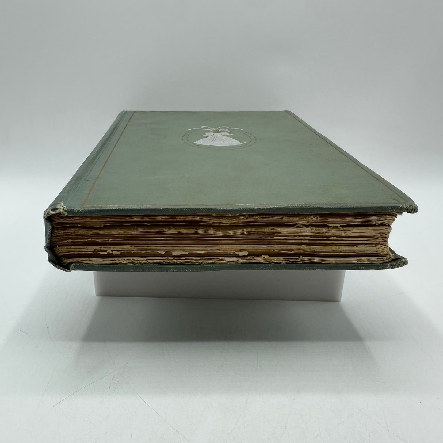 A Southern Girl in 61 D Giraud Wright Memoir Civil War Biography Confederate