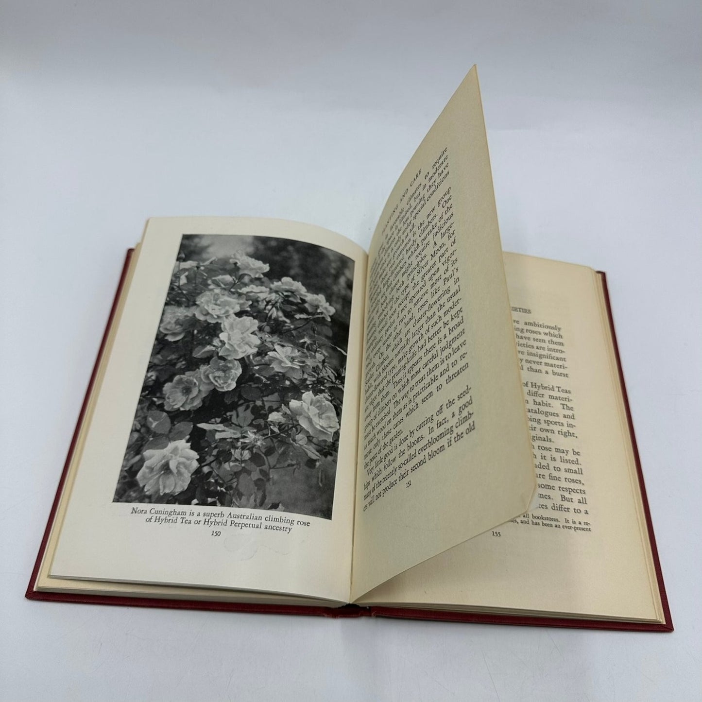 Climbing Roses G.A. Stevens 1933 First Edition Illustrated Macmillan Gardening