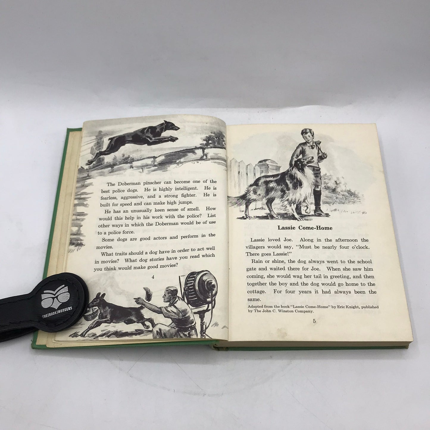 Looking Forward Easy Growth in Reading Revised Edition Children Family Adventure