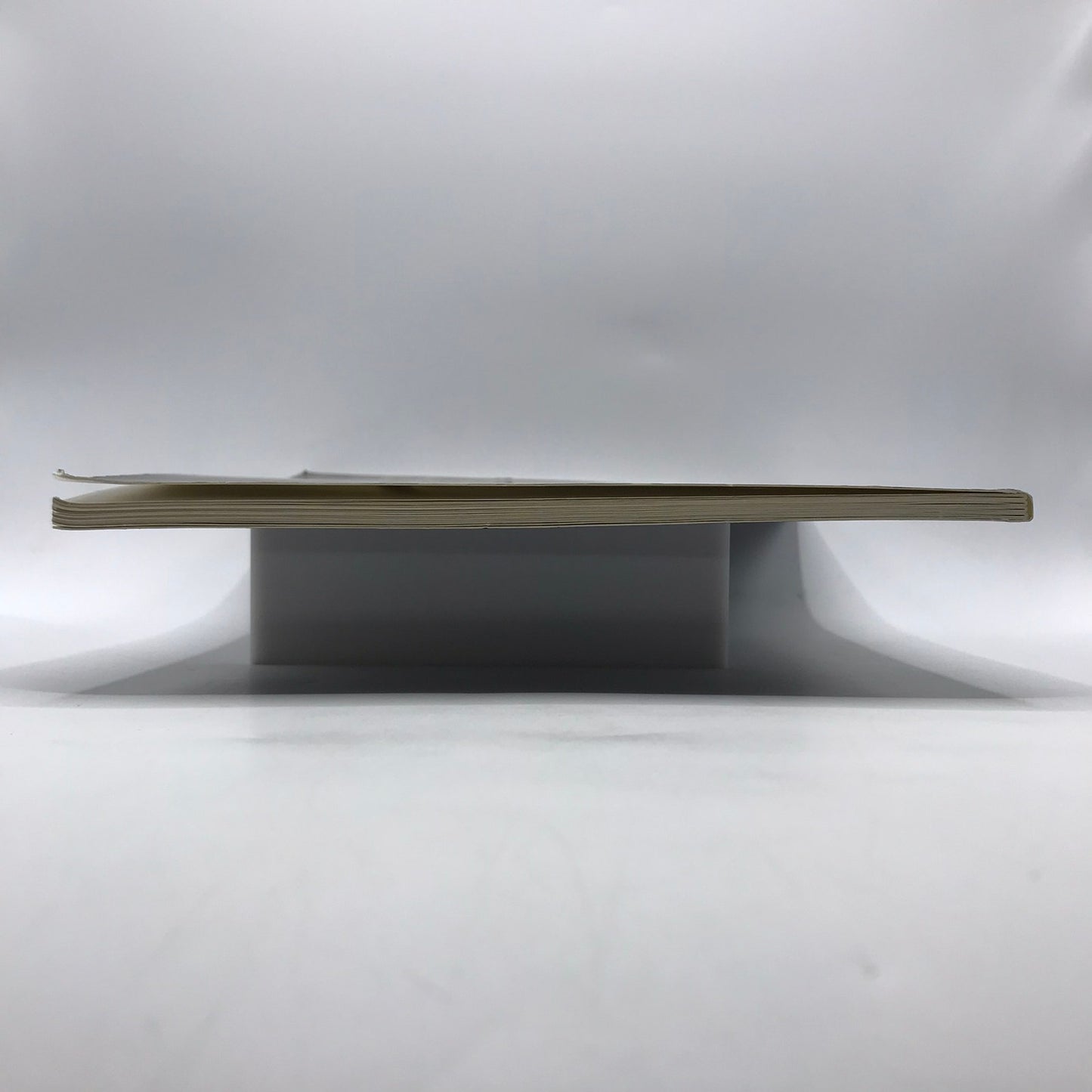 Richard Serra Torqued Spirals Toruses and Spheres Art Post Minimalist Sculpture