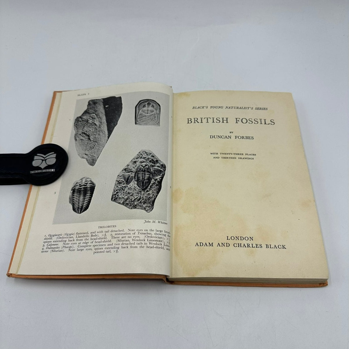 British Fossils Duncan Forbes 1951 First Edition Natural History A. & C. Black