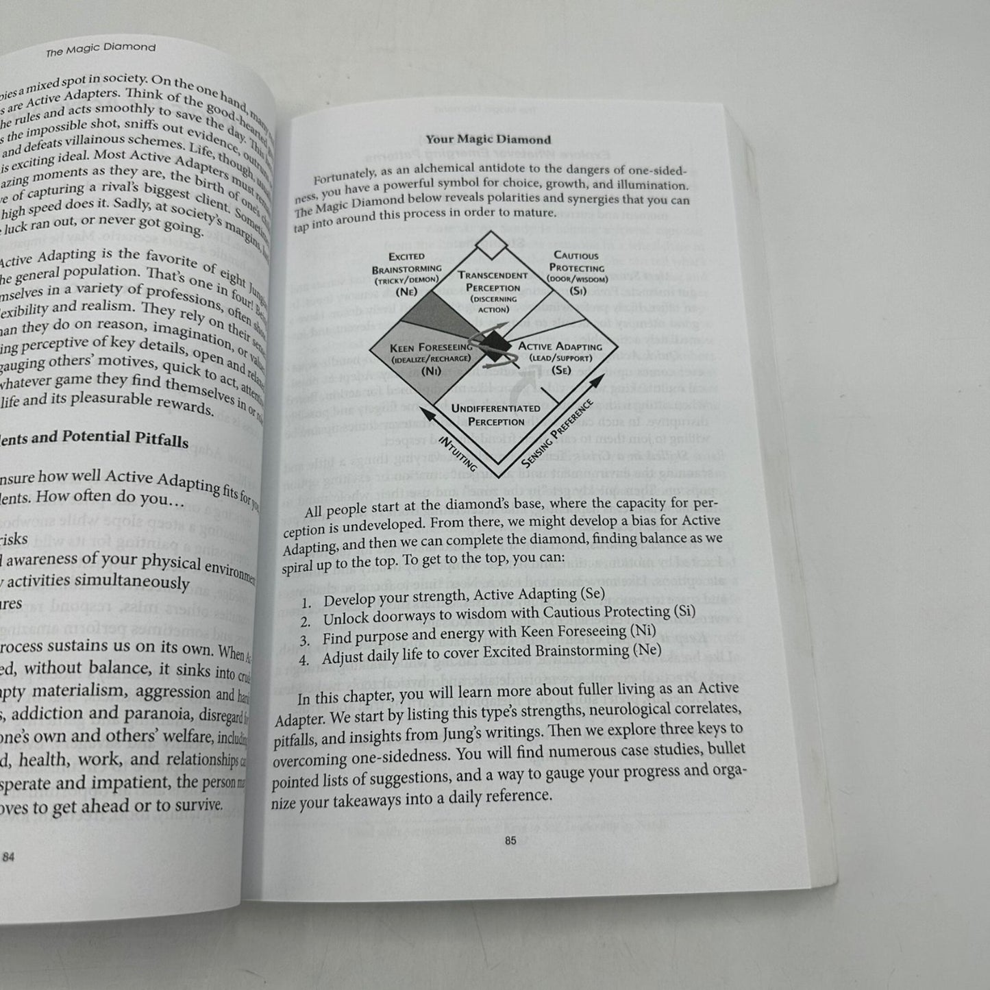 The Magic Diamond Dario Nardi 2020 Jung's 8 Paths Self-Coaching Psychology
