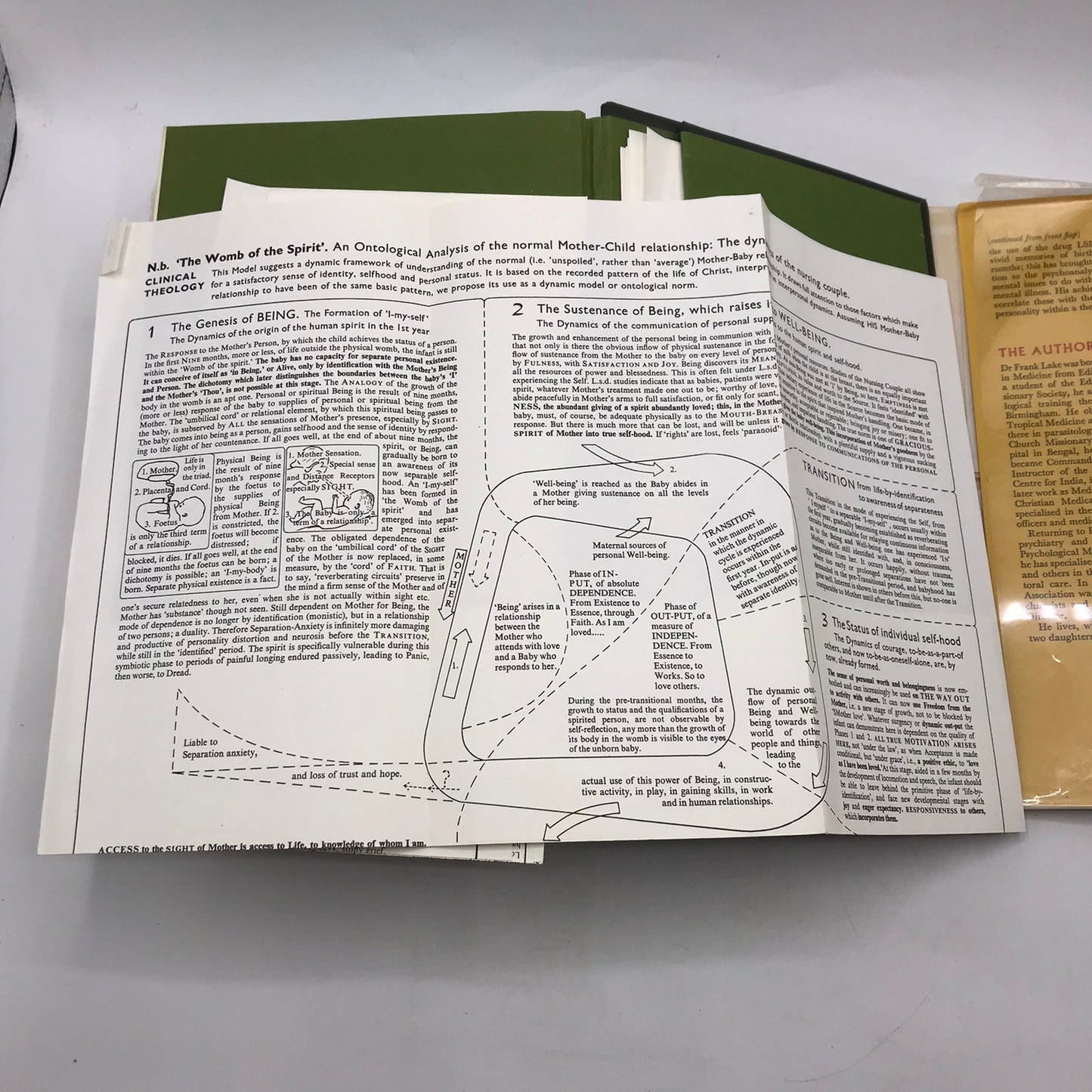 Clinical Theology Frank Lake Recovery Counseling Religious Pastoral Psychology