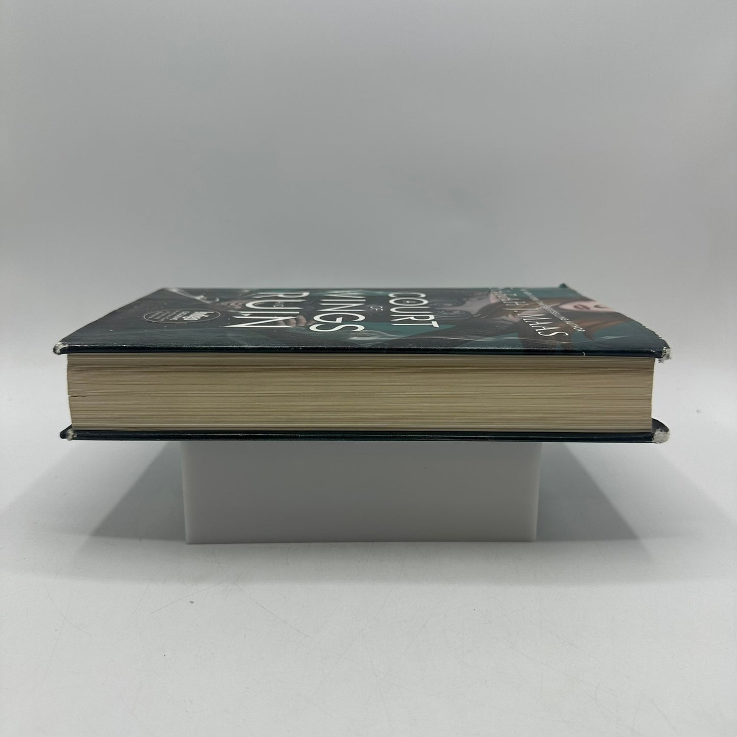 A Court of Wings and Ruin Sarah J Maas Indigo Exclusive Fan Art Fantasy OOP