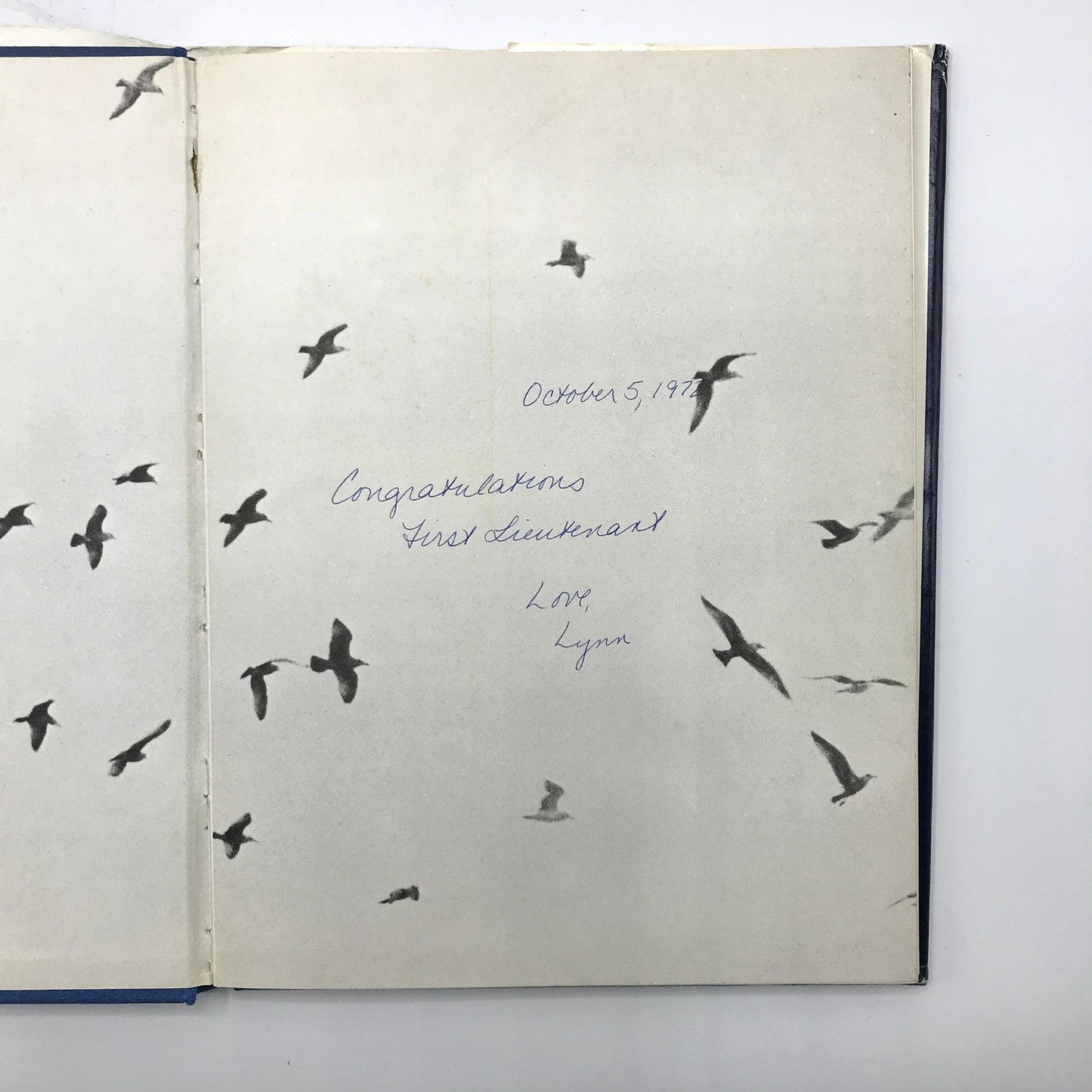 Jonathan Livingston Seagull Illustrated Hardcover Novel by Richard Bach 1970