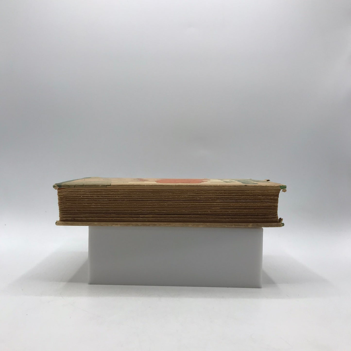 Beggars Abroad Jim Tully Personal Narrative Europe Travel Literature Memoir 1930