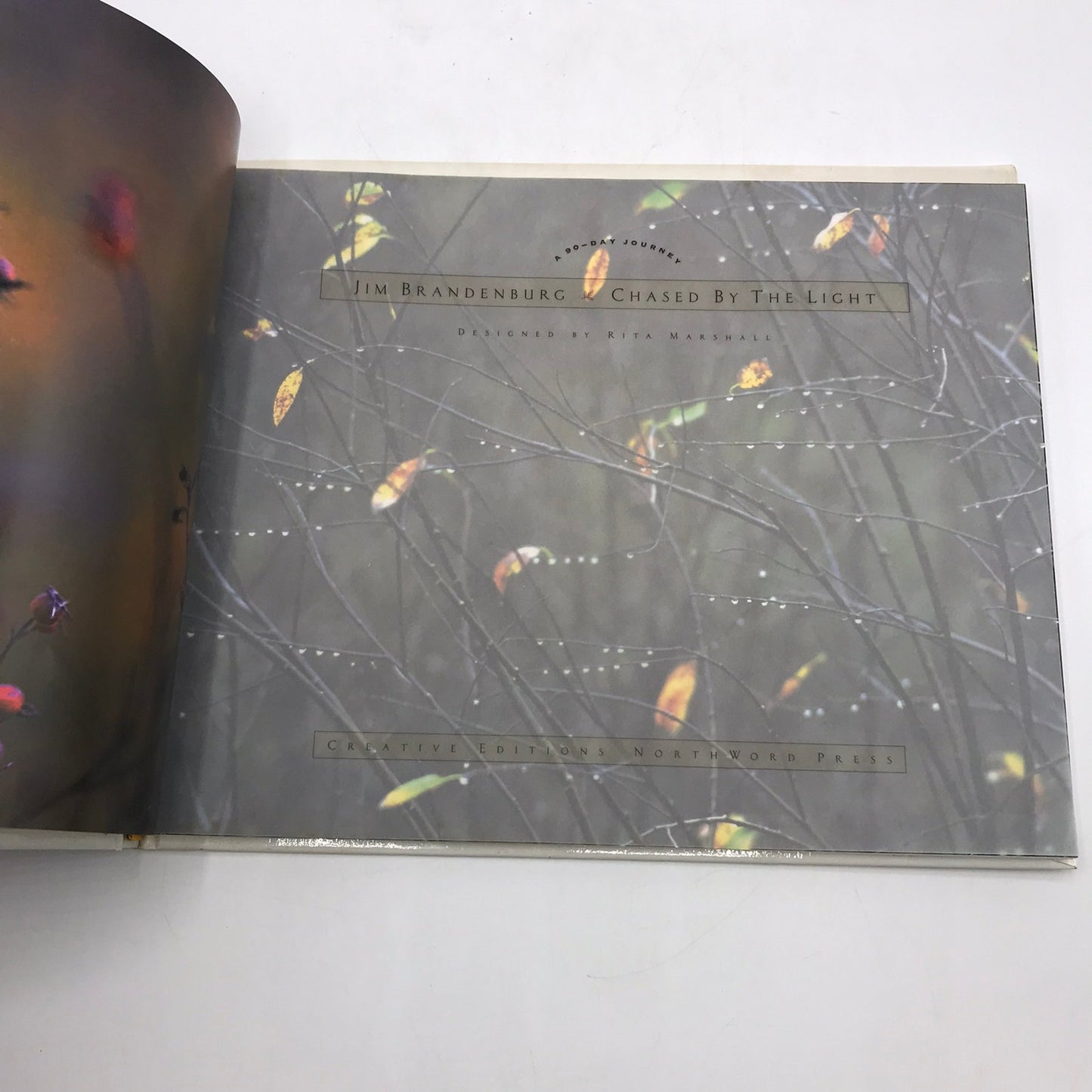 Chased by the Light A 90 Day Journey Jim Brandenburg with Signed Photo of Loon