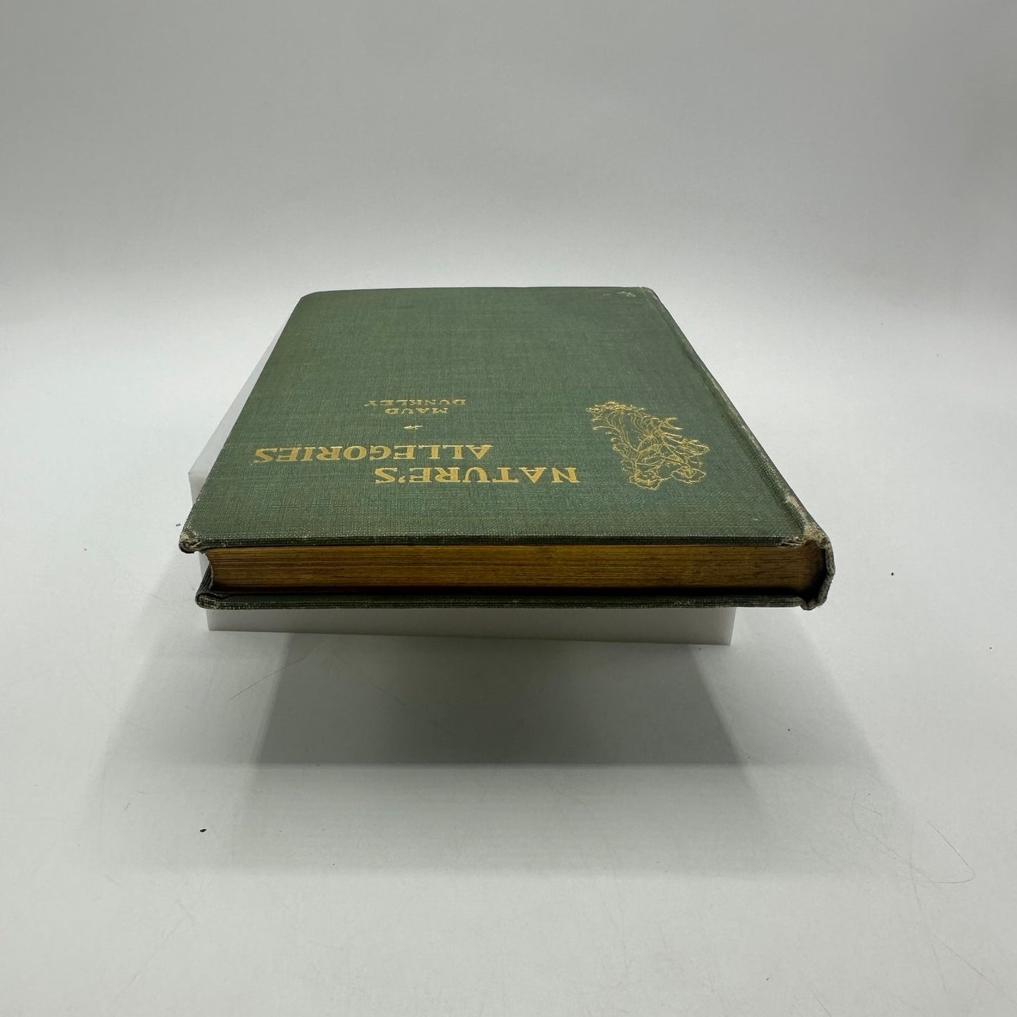 Natures Allegories and Poems Maud Dunkley Poetry Historical Literary Collection