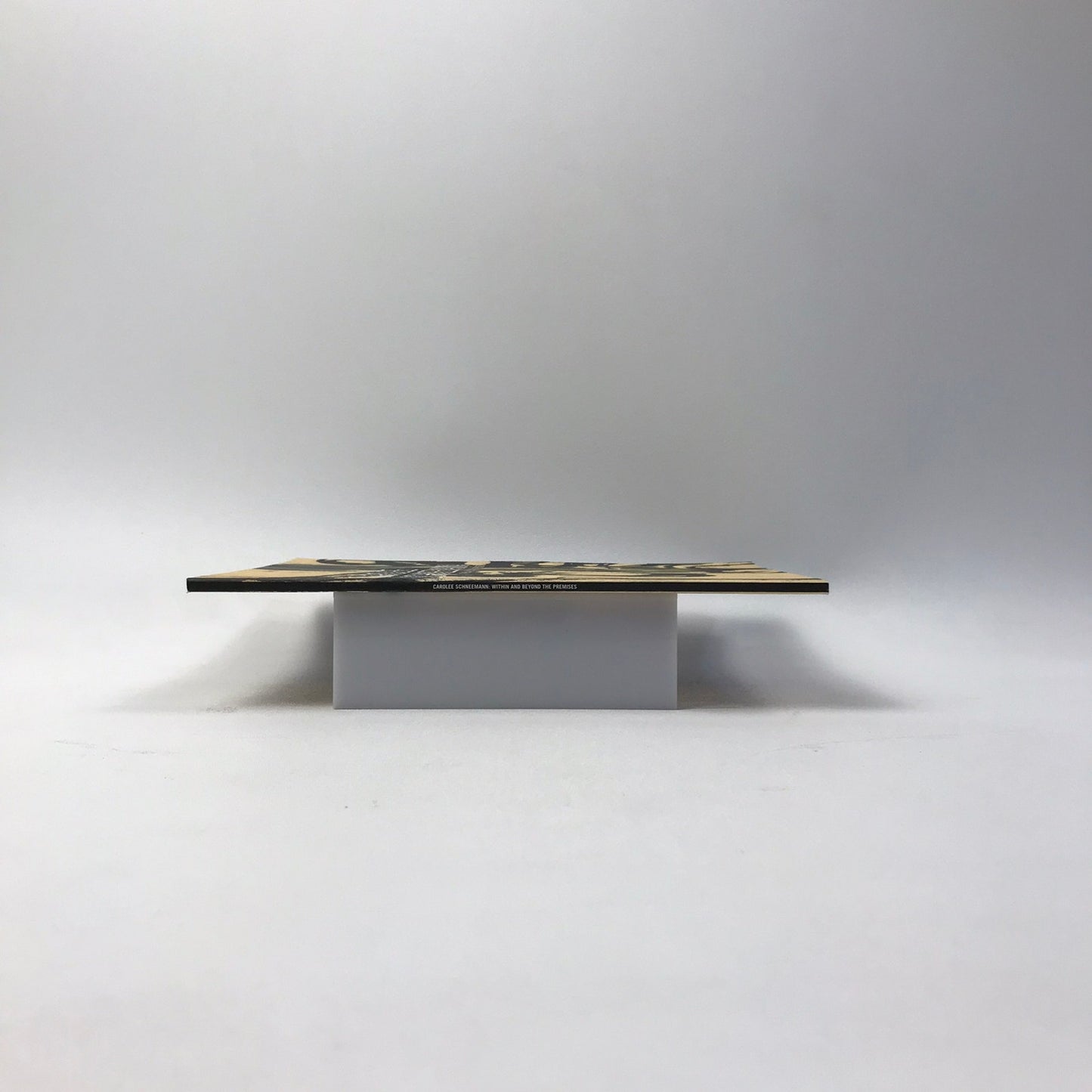 Carolee Schneemann Within and Beyond the Premises SIGNED Art Exhibition Catalog