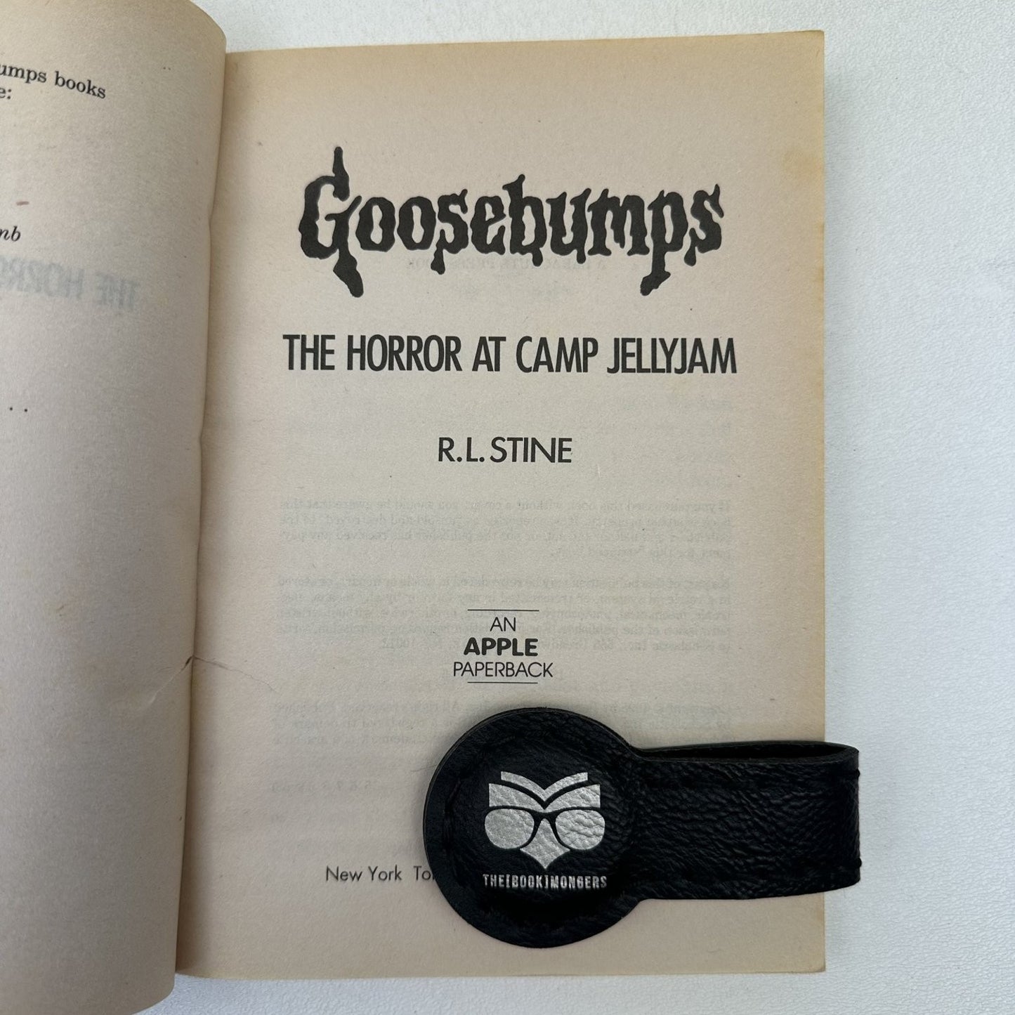 Goosebumps The Horror at Camp Jellyjam #33 R.L. Stine 1995 First IRON ON