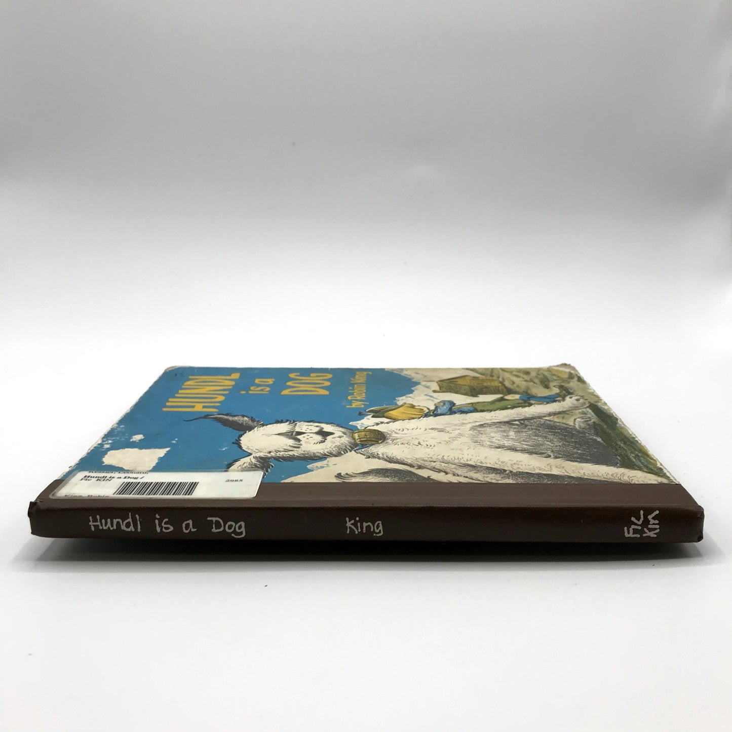 Hundl is a Dog Children's Fiction Hardcover Book by Robin King 1st Edition 1956