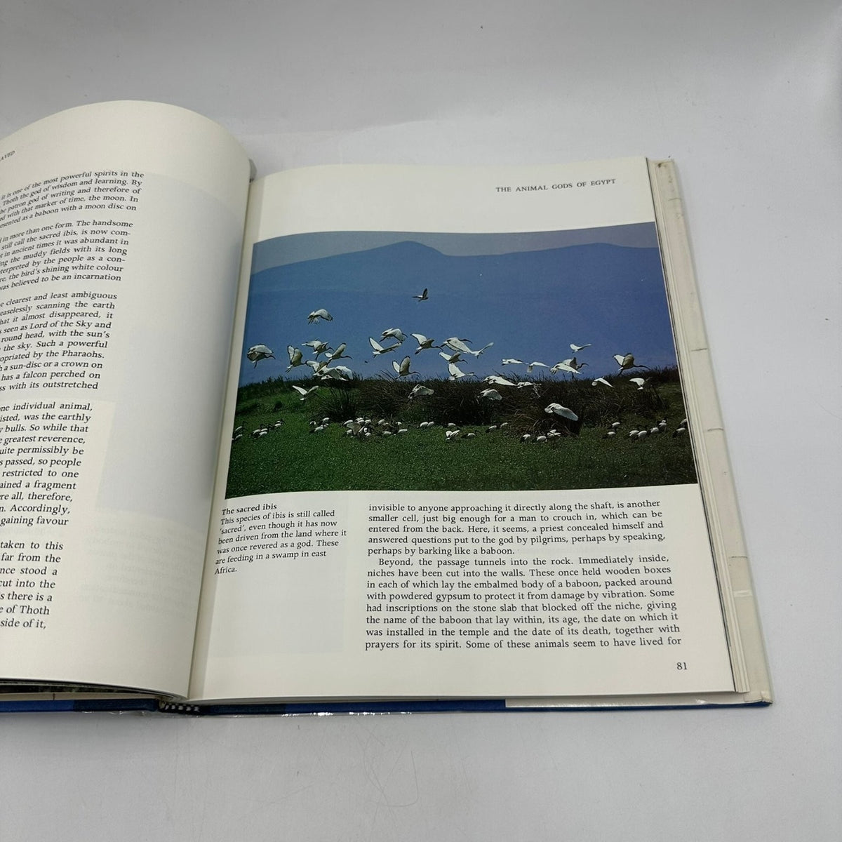 The First Eden David Attenborough 1987 First Edition Mediterranean World Little