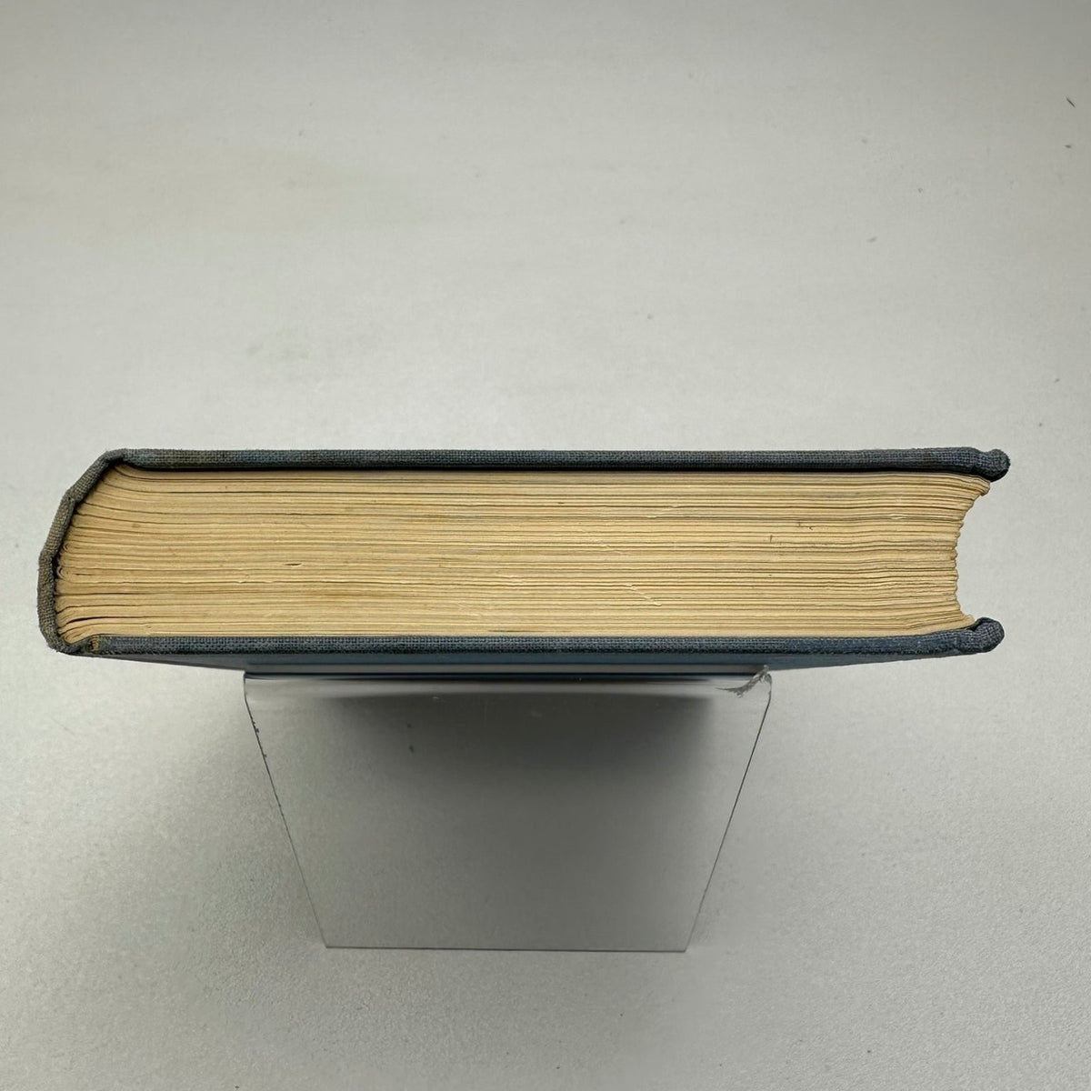 On Being A Bird Philip Wills 1955 First Edition SIGNED Memoir Parrish