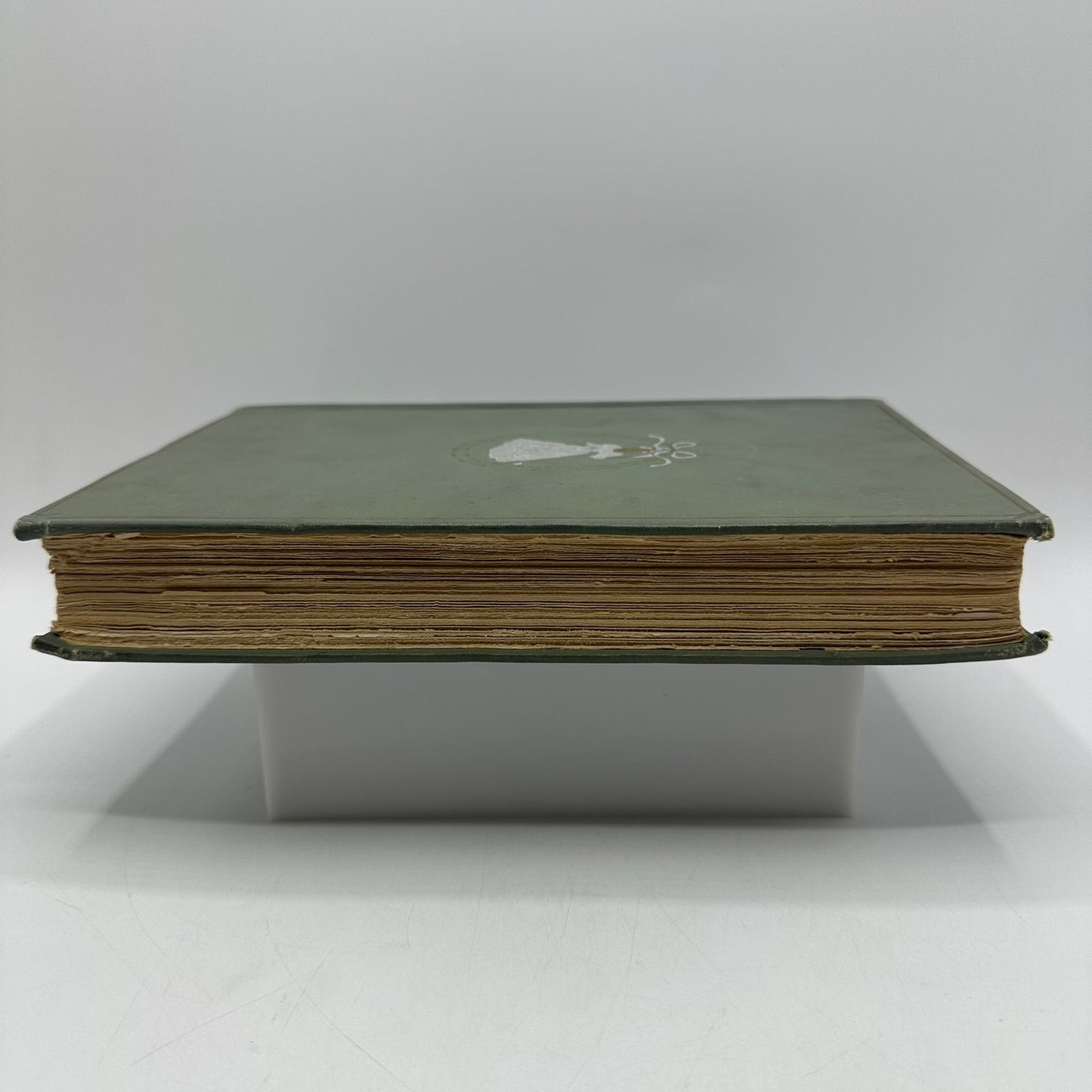 A Southern Girl in 61 D Giraud Wright Memoir Civil War Biography Confederate