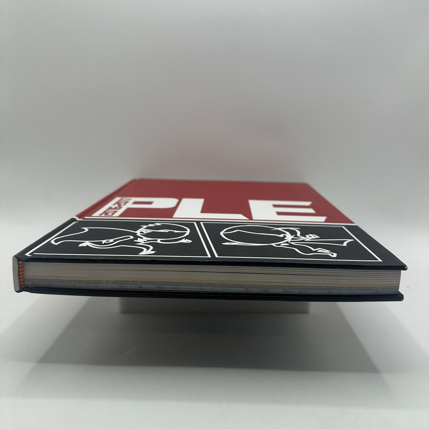 QSI International School of Shenzhen 2016-2017 PLE Preschool Elementary Yearbook