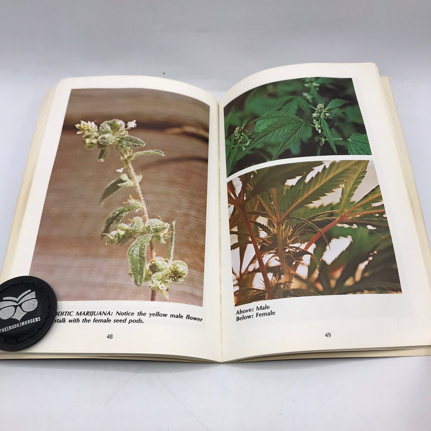 How To Grow Marijuana Indoors Under Light Murphy Steven Cannabis Gardening