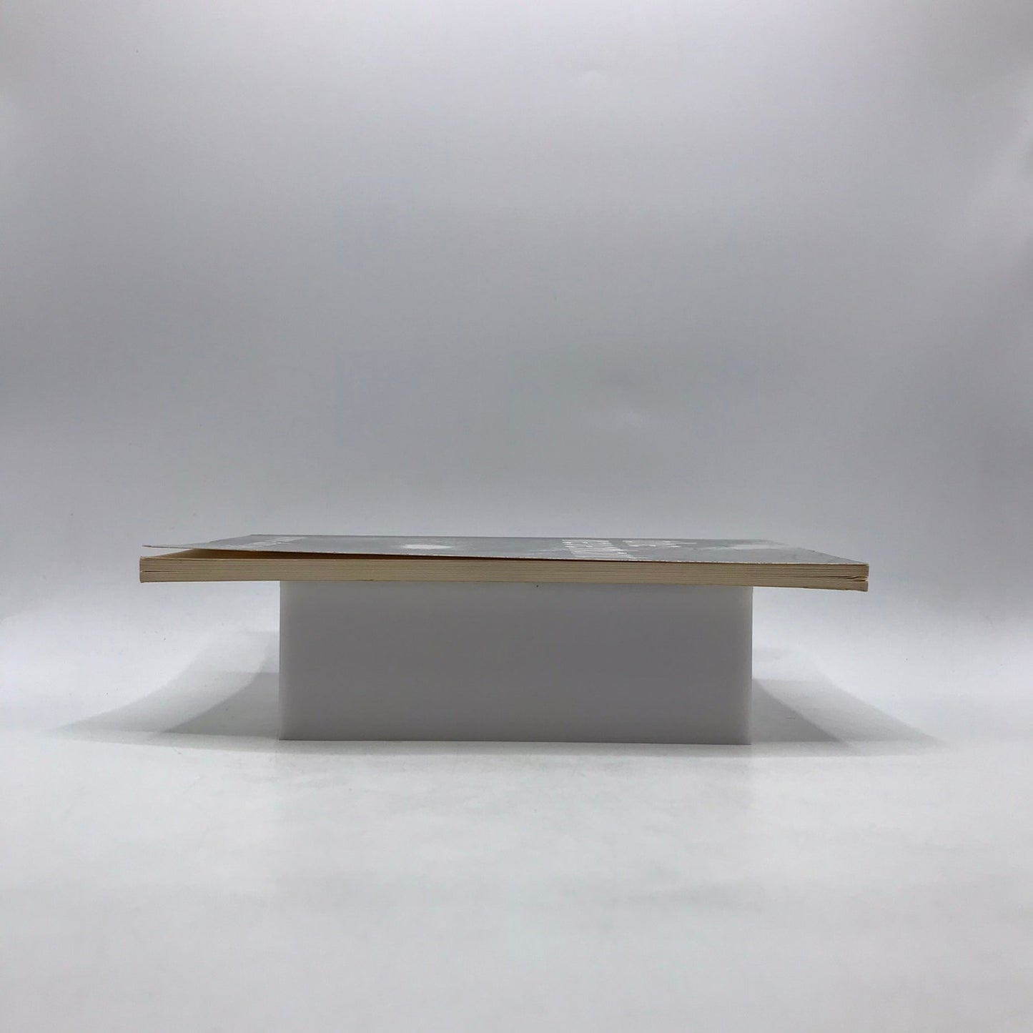 The Revenant Dan Gerber SIGNED Spiritual Mortality Solitude Contemporary Poetry