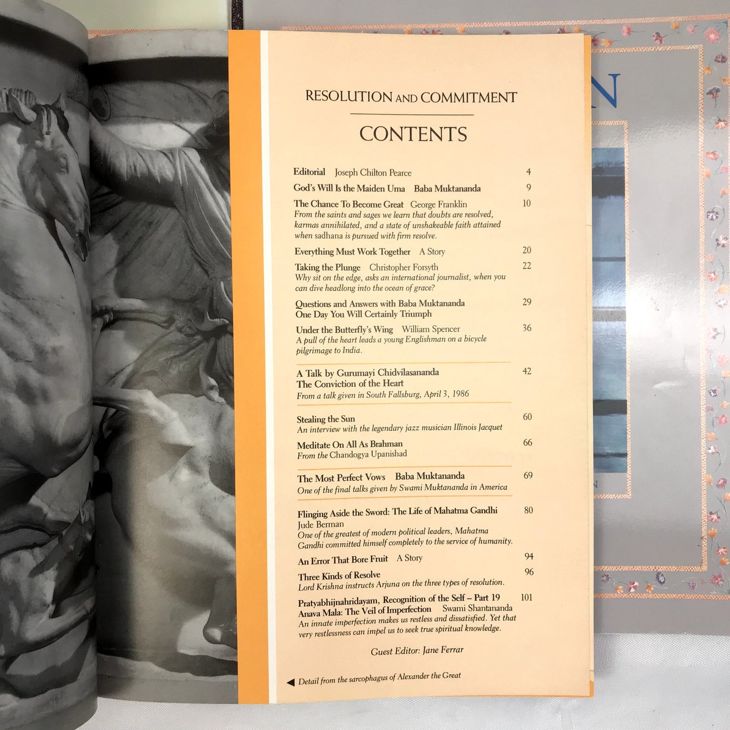 Darshan in the Company of Saints Lot of 5 Illustrated Paperback Books 1980s