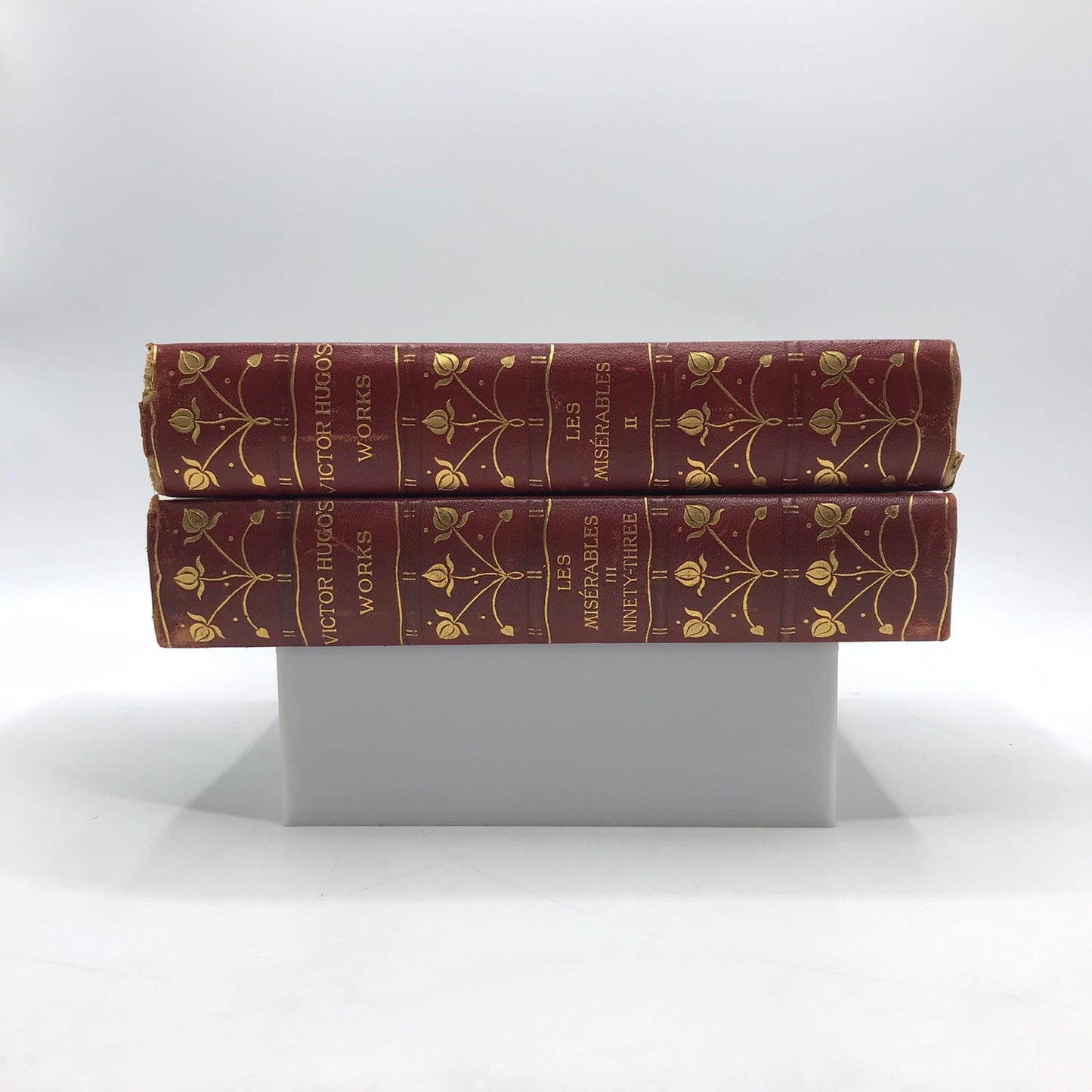 The Works of Victor Hugo Les Miserables 2 Vol Hardcover Book Set 1887 Kelmscott