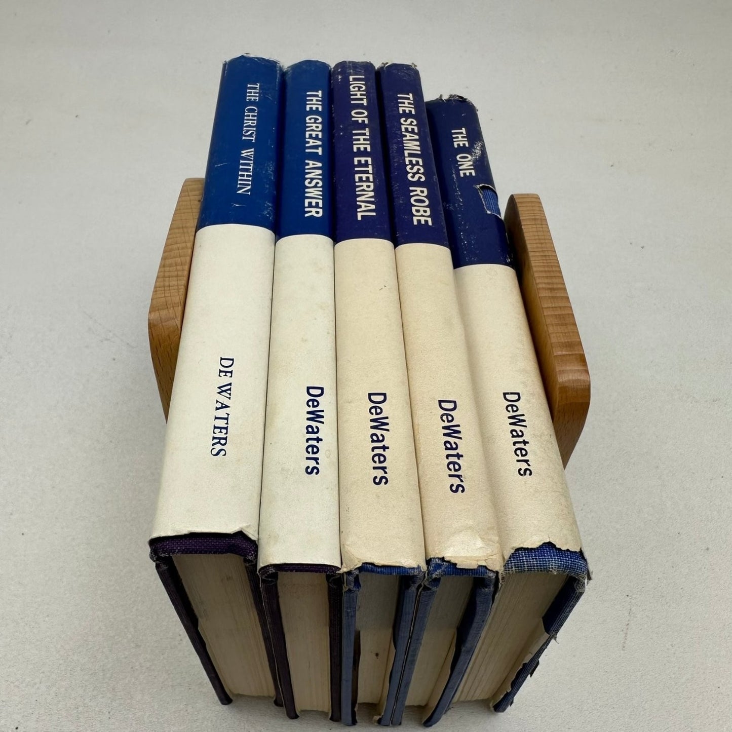 Lillian DeWaters 5 Book Set Christ Within Seamless Robe The One Ontology