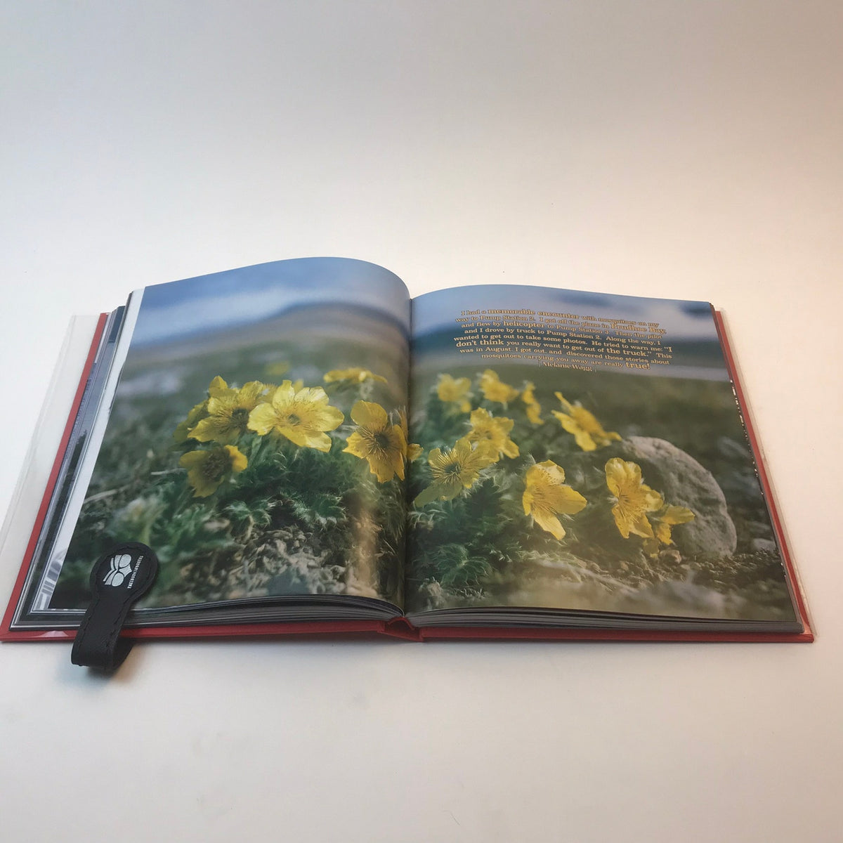 Alyeska: A 30 Year Journey by Alyeska Pipeline Service Company Hardcover 2007