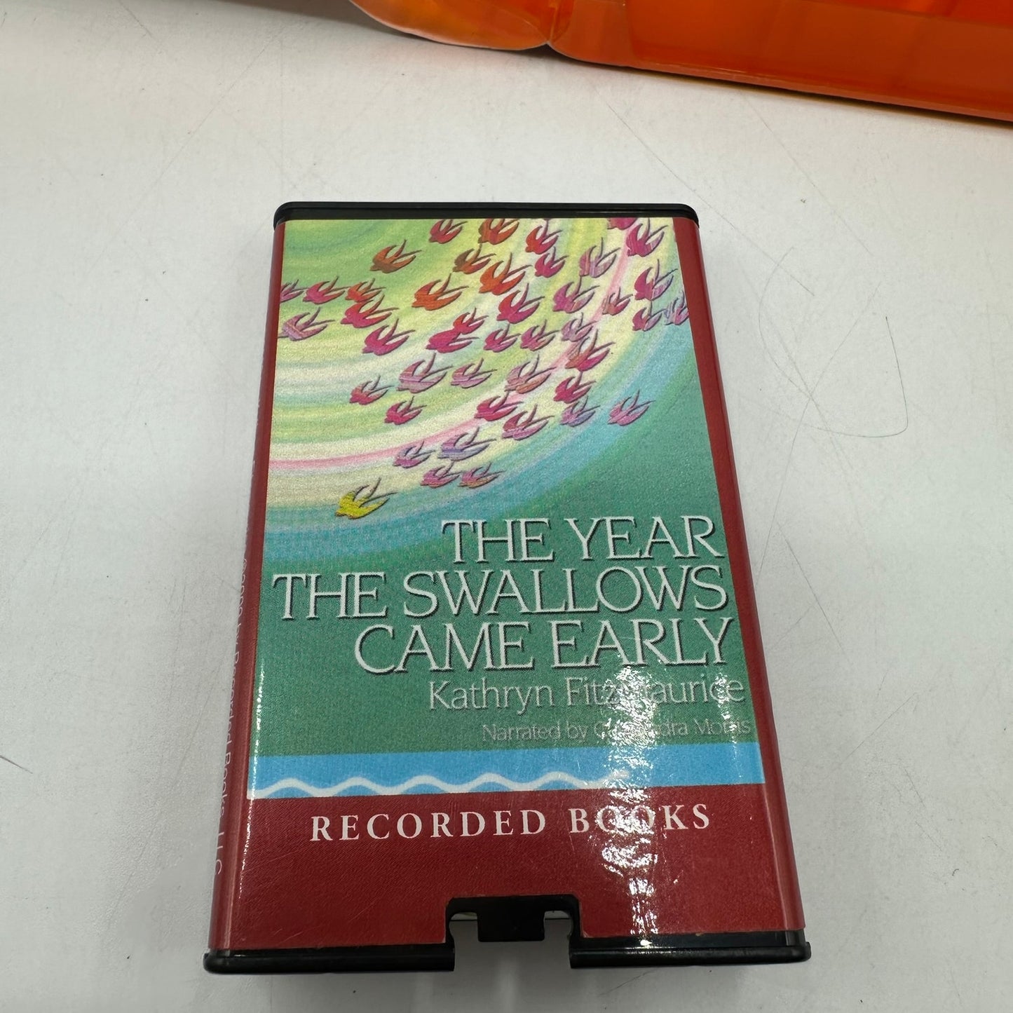 The Year the Swallows Came Early Playaway Audiobook Player Kathryn Fitzmaurice
