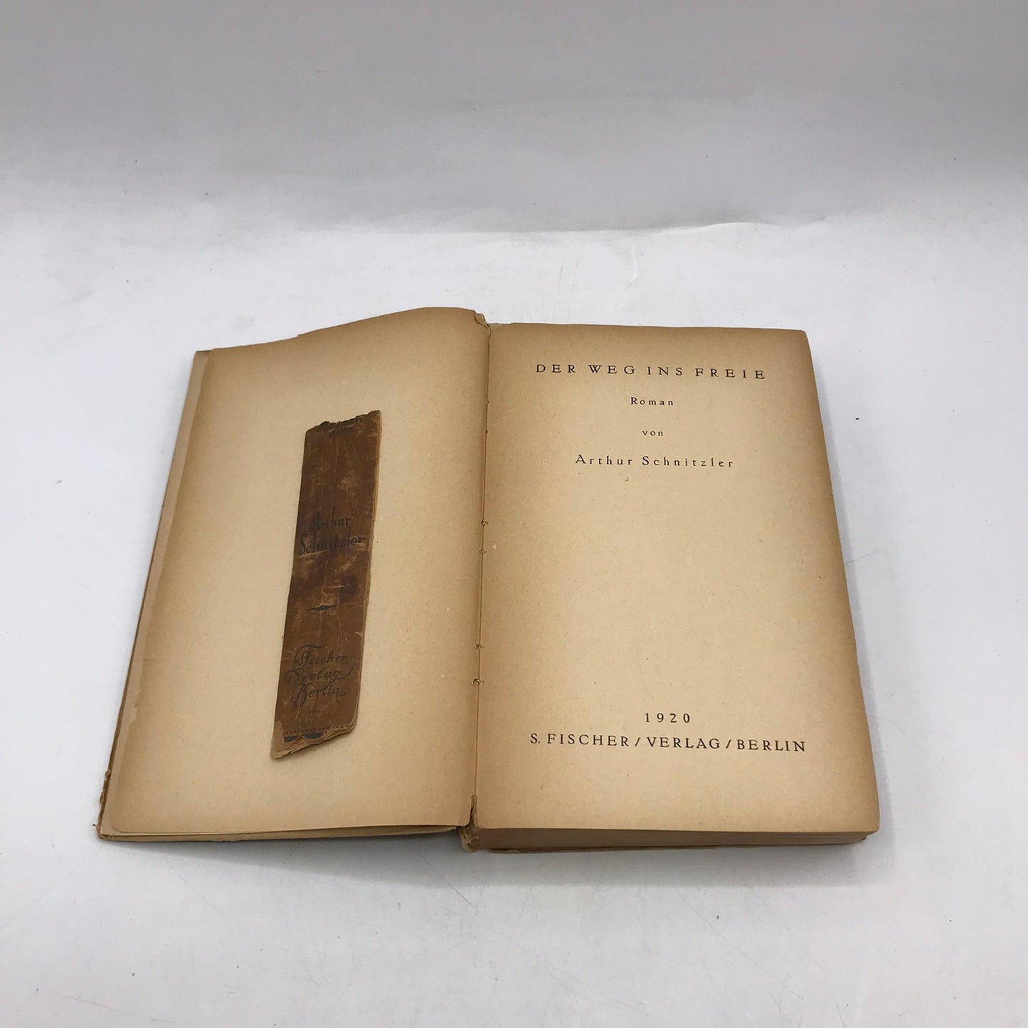 Der Weg Ins Freie Roman Arthur Schnitzler Historical German Literature 1920